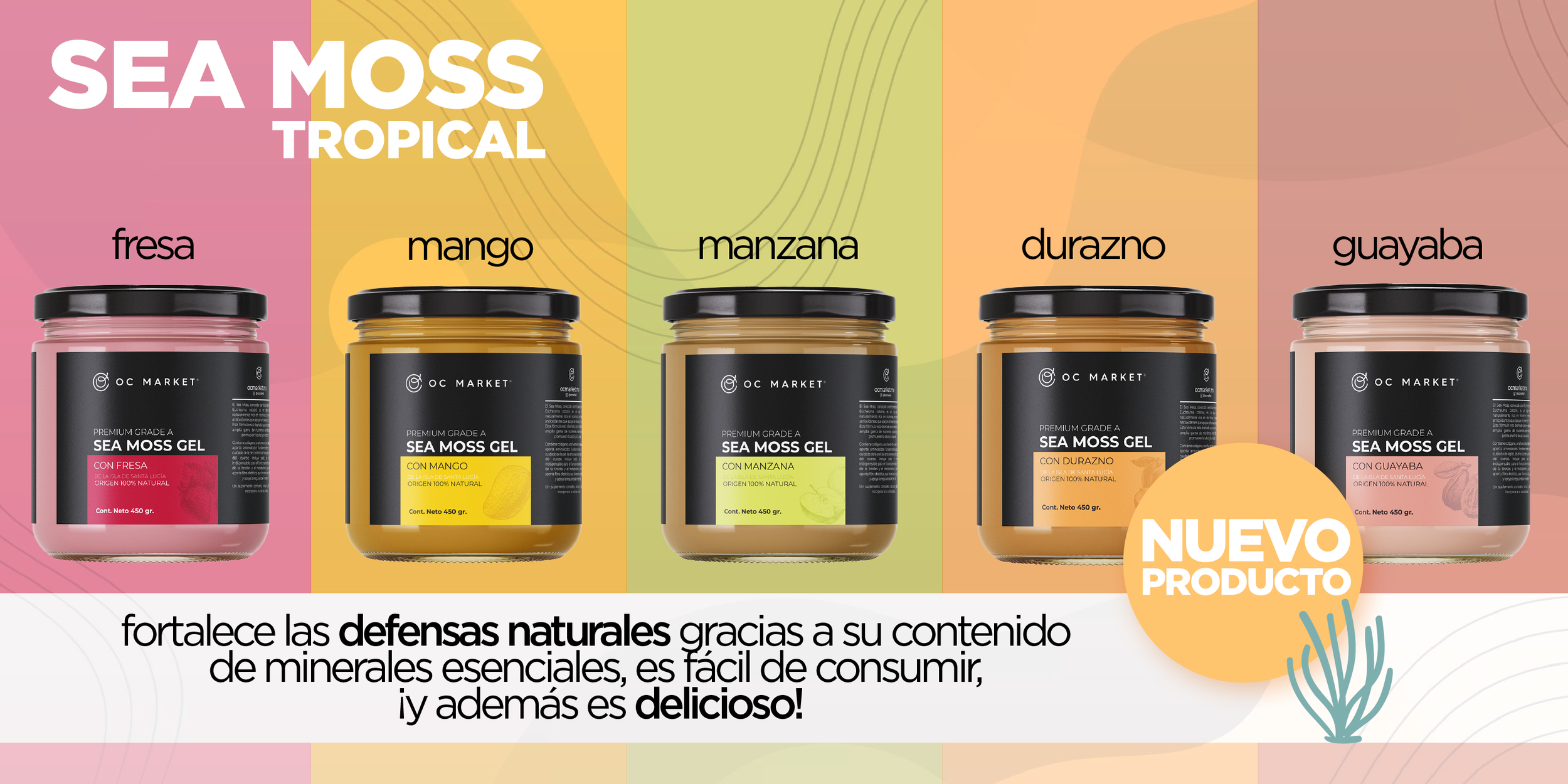 Banner Sea Moss todos Nuevo.png