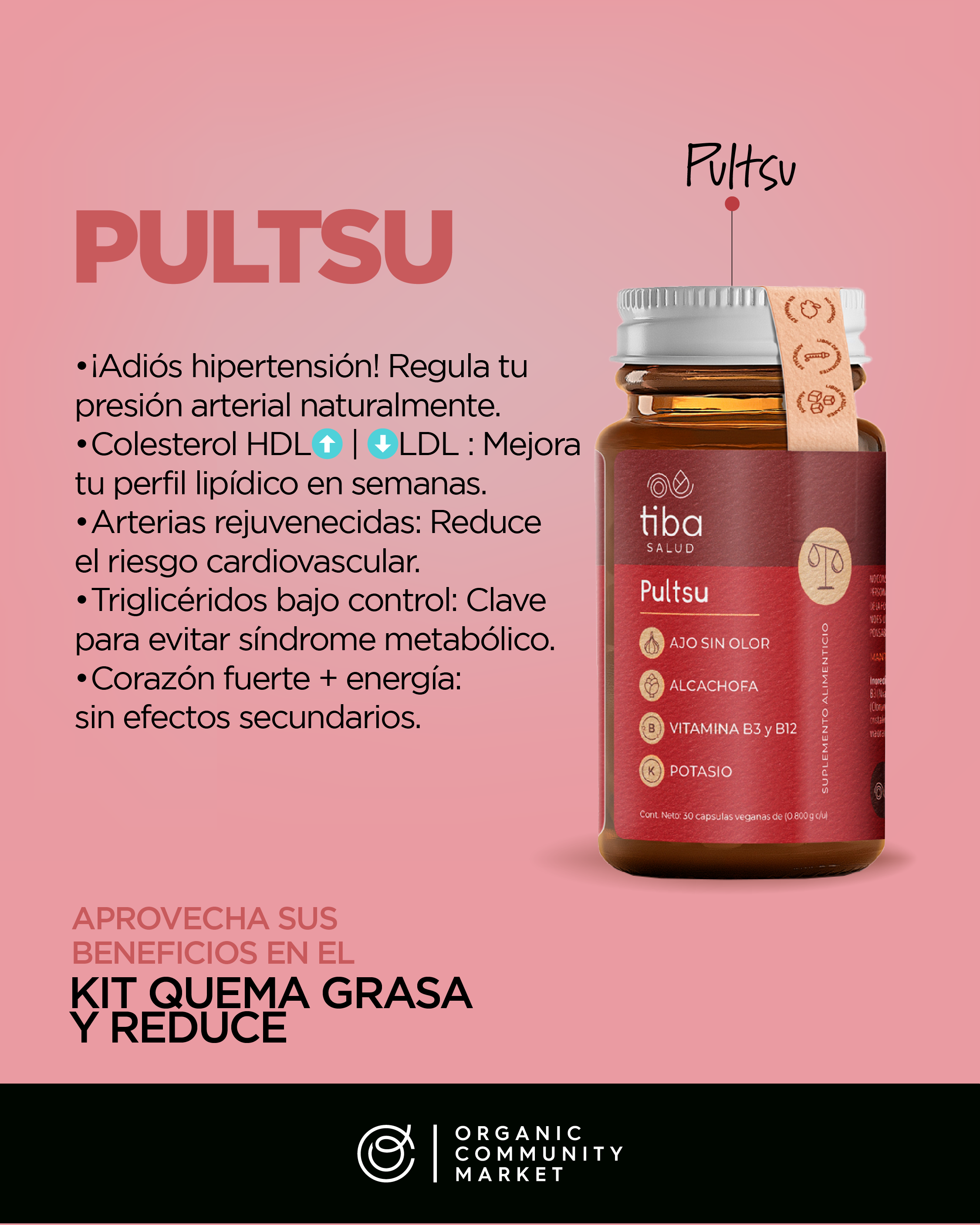 Pultsu Fijo 001.png