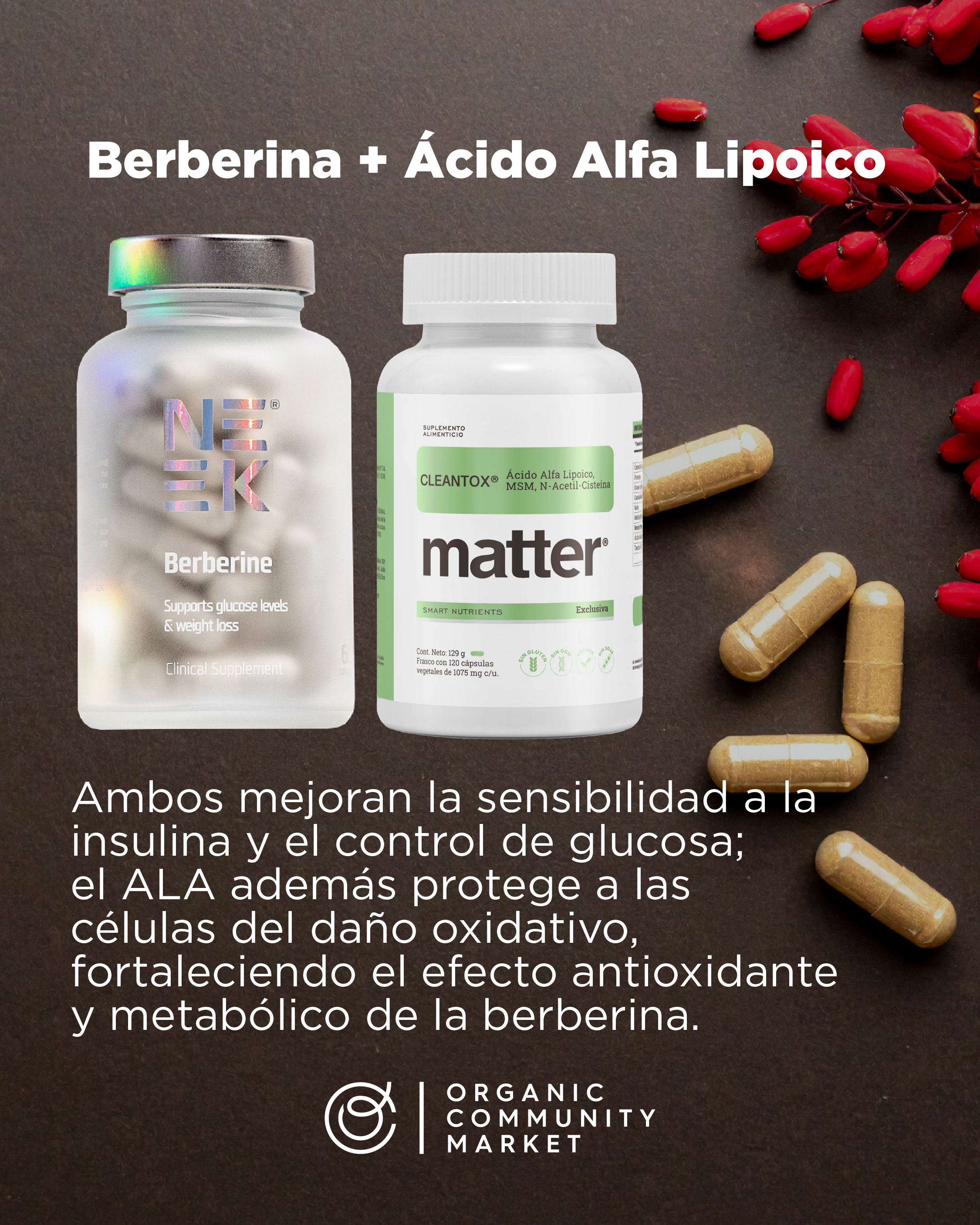 Berberina Post 003-29.png