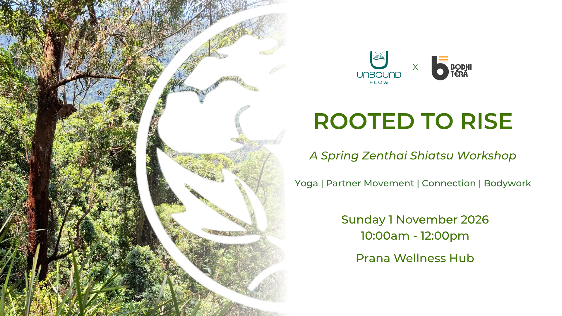 Rooted to Rise - A Spring Zenthai Shiatsu Workshop