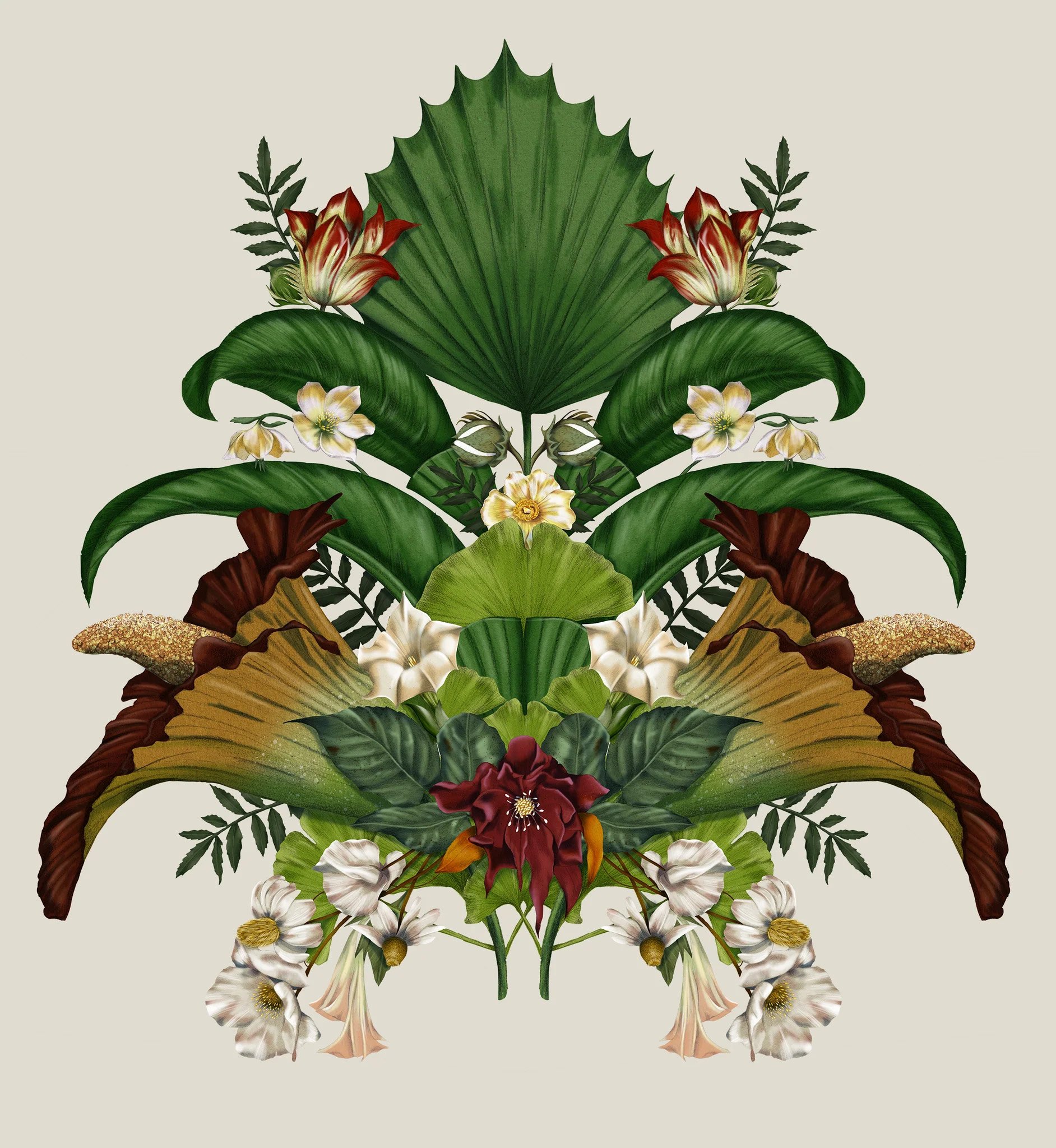 Kelly Thompson botanical Illustrator for Melbourne Museum Titanic exhibition