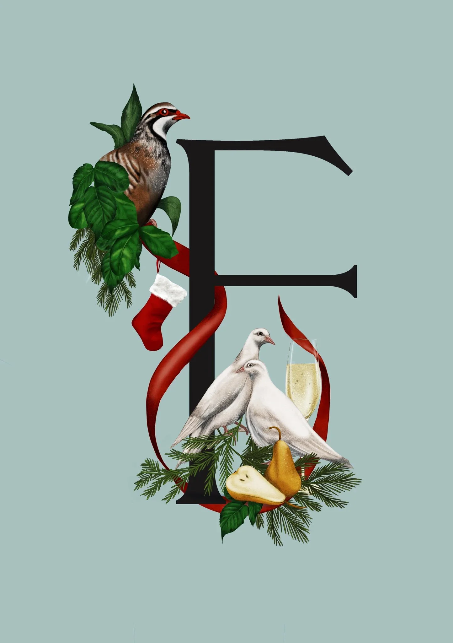 Kelly Thompson botanical illustration Christmas for Faradays Department Store