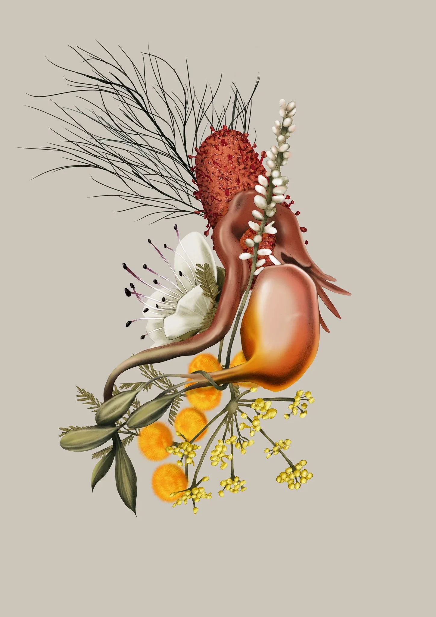 Kelly_Thompson__Harnessing_Nature_-_Gynecology_2048x2048.jpg