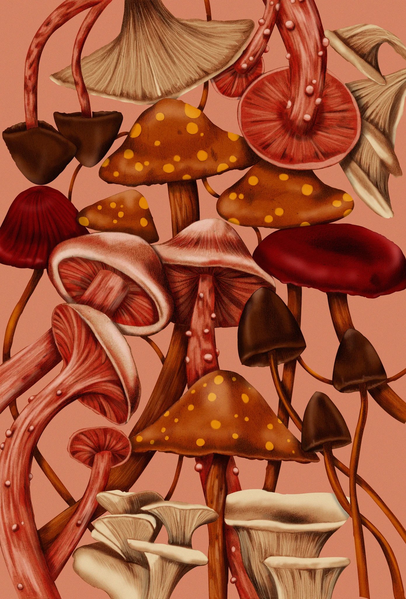 The Dairy Shrooms