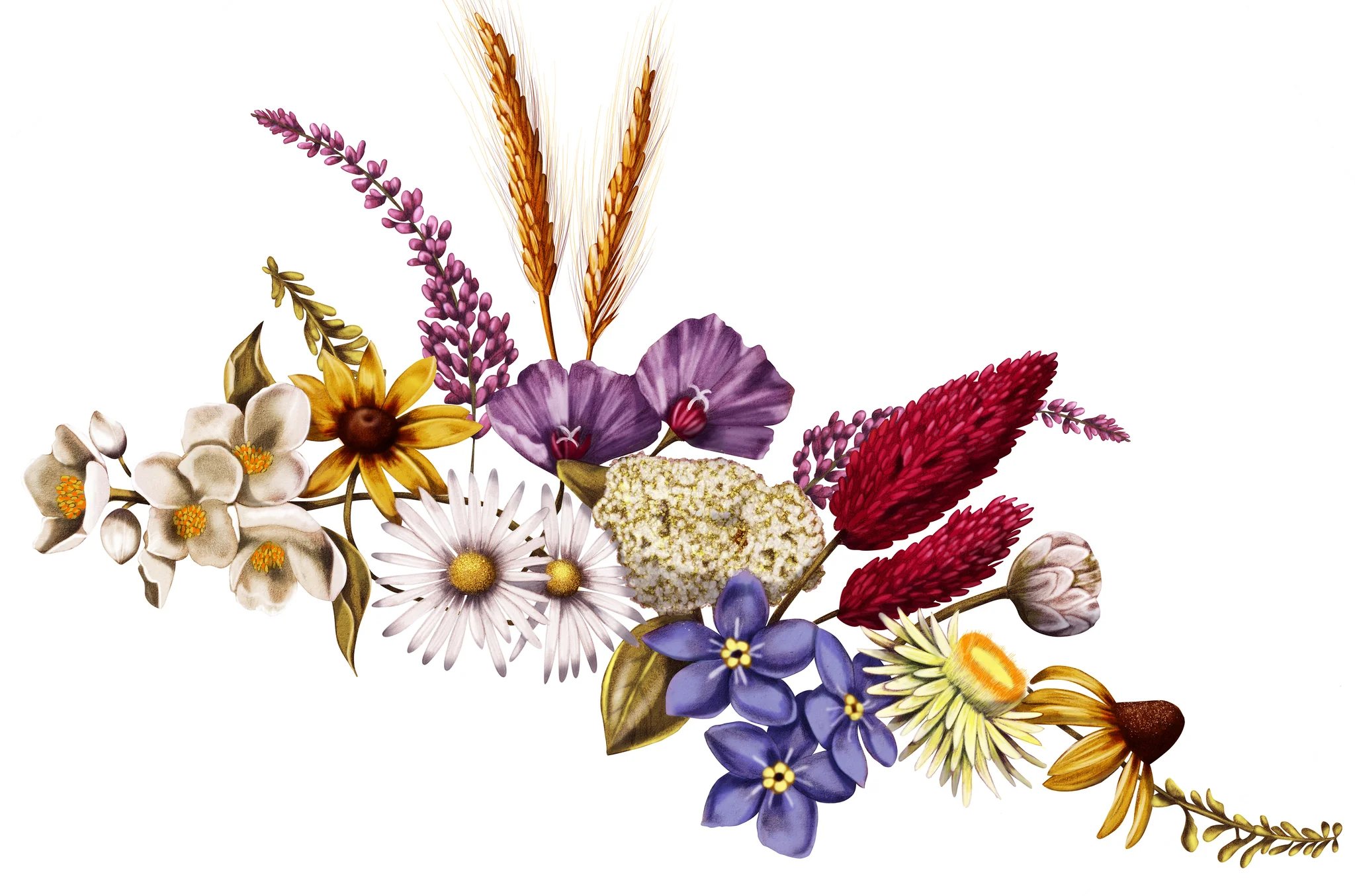 Argyle Bloomhouse Wine Labels Illustration by Kelly Thompson