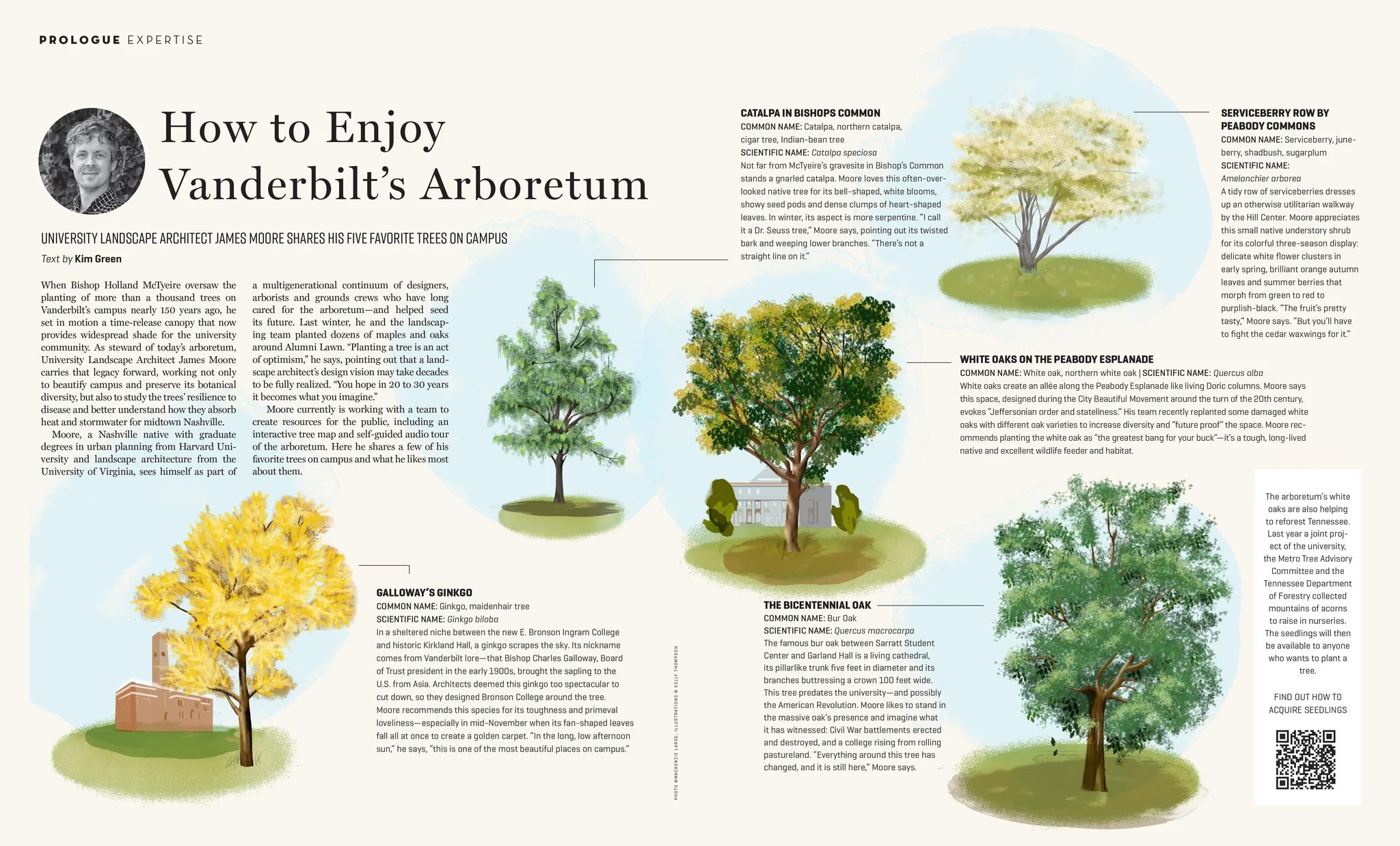 How to enjoy Vanderbilt's Arboretum