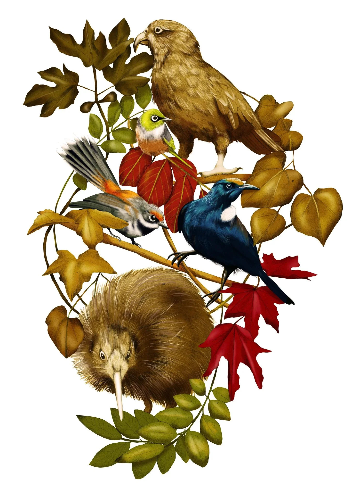birds_A4_2048x2048.jpg