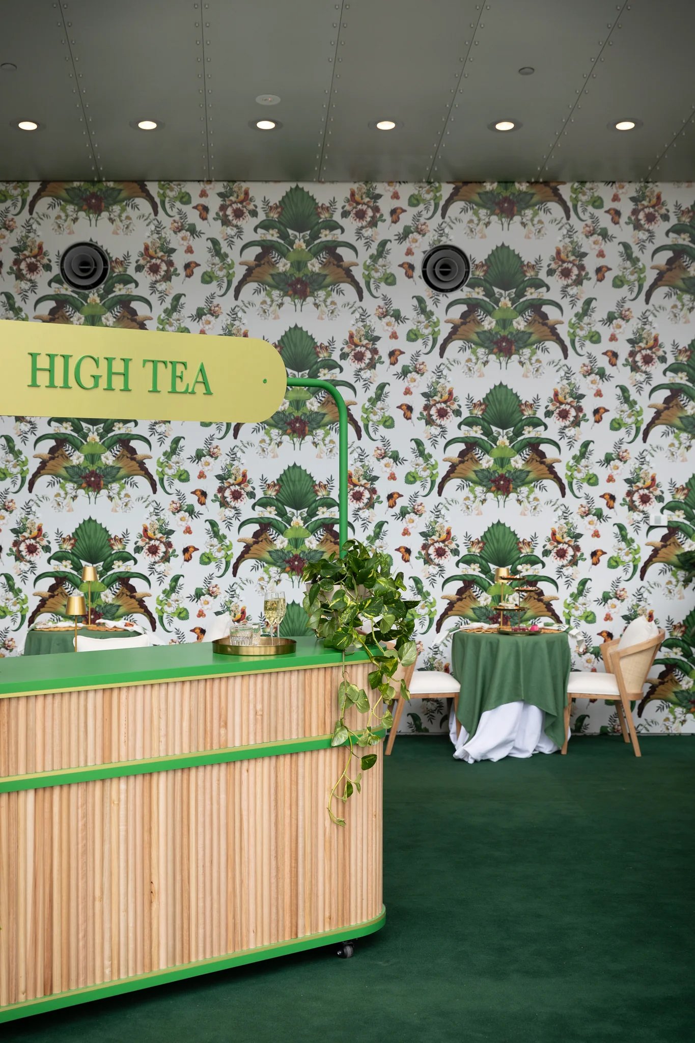 Kelly Thompson botanical Illustrator for Melbourne Museum Titanic exhibition