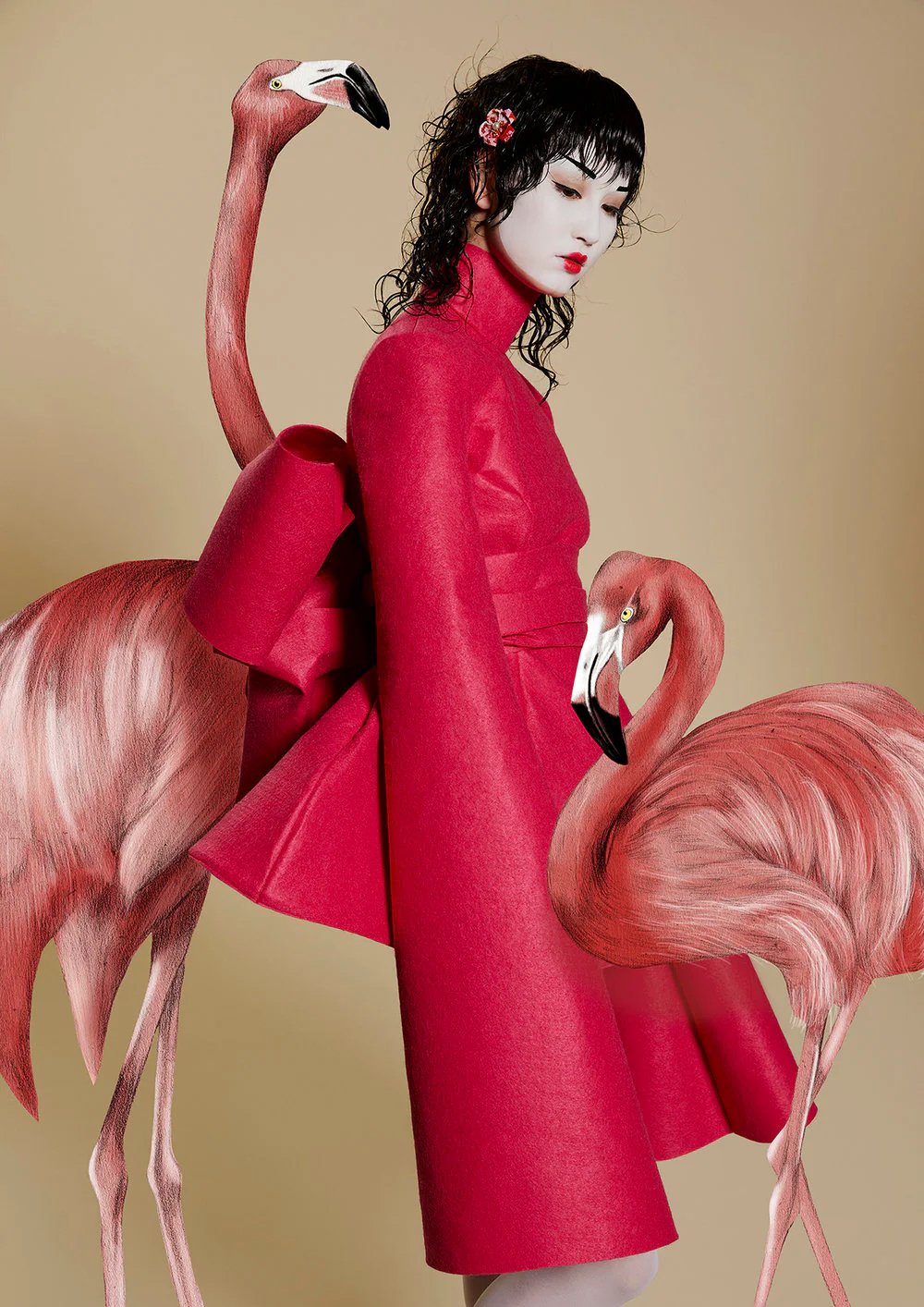 bird_Kelly_Thompson_D_M_salon_illustration_Illustrator_Melbourne_3_2048x2048.jpg