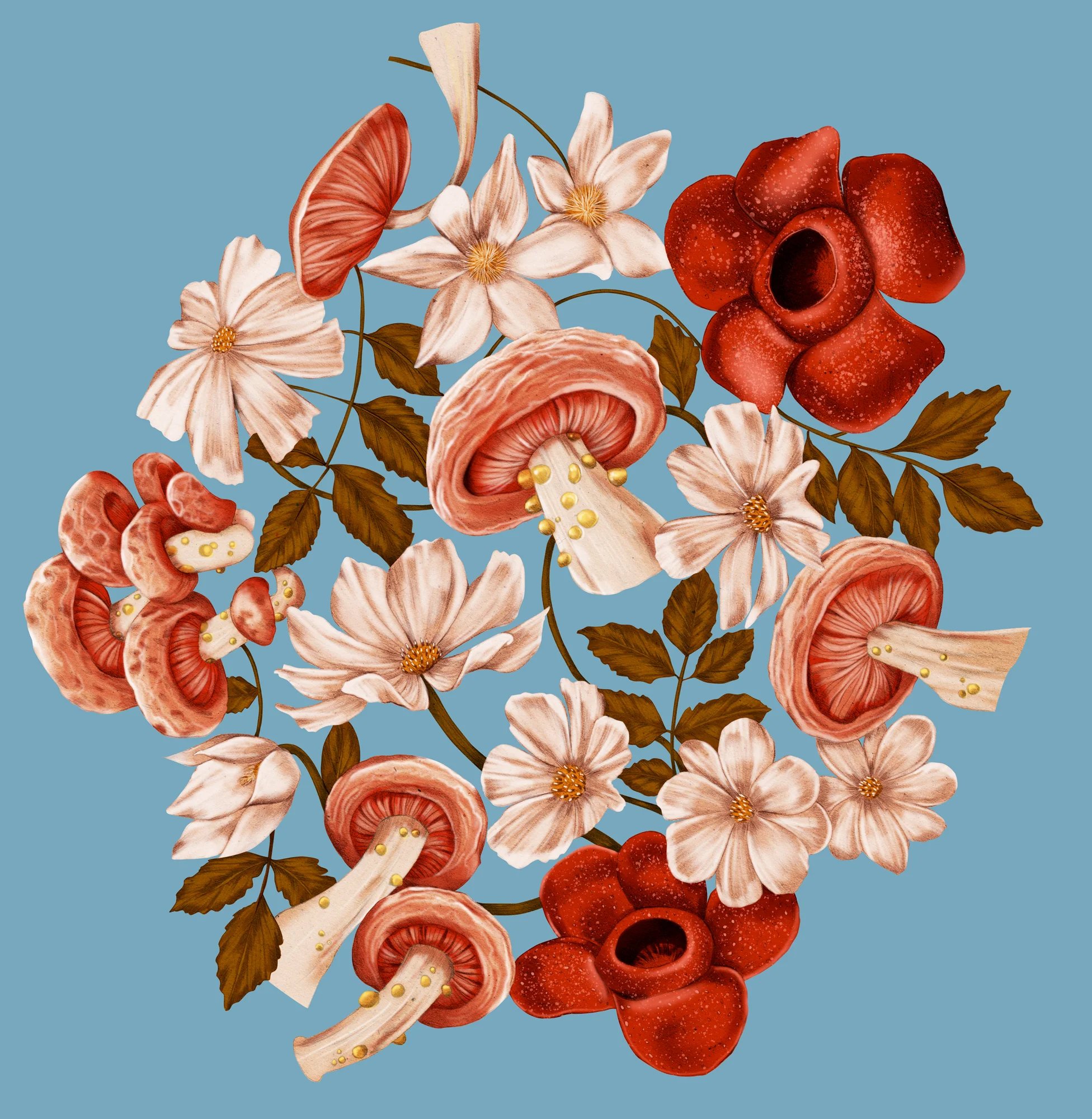 Kthompson_mushroom_brollyblue_2048x2048.jpg