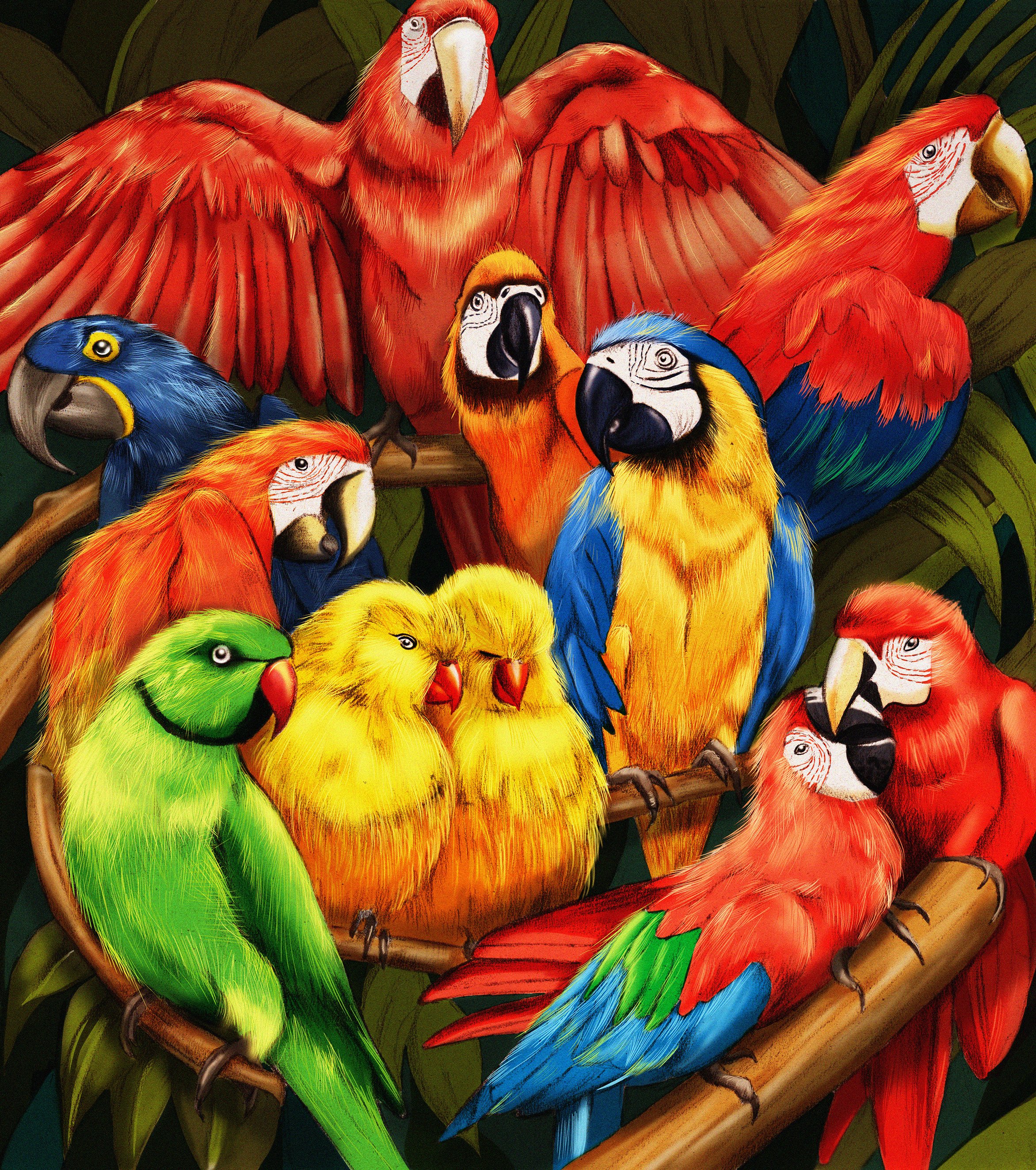 Parrots