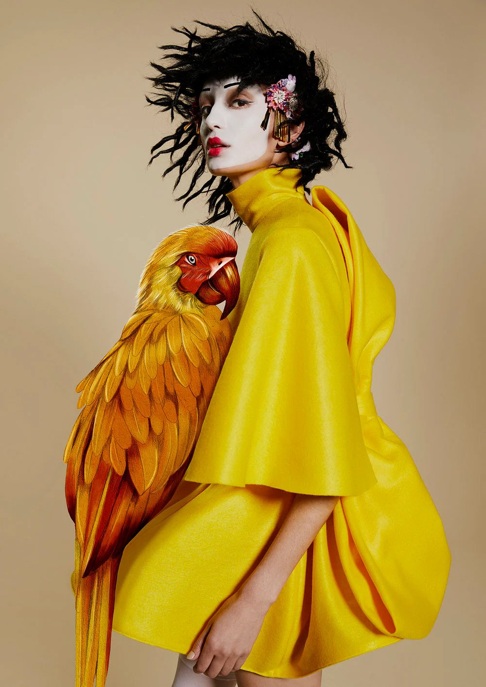 bird_Kelly_Thompson_D_M_salon_illustration_Illustrator_Melbourne_1_2048x2048.jpg