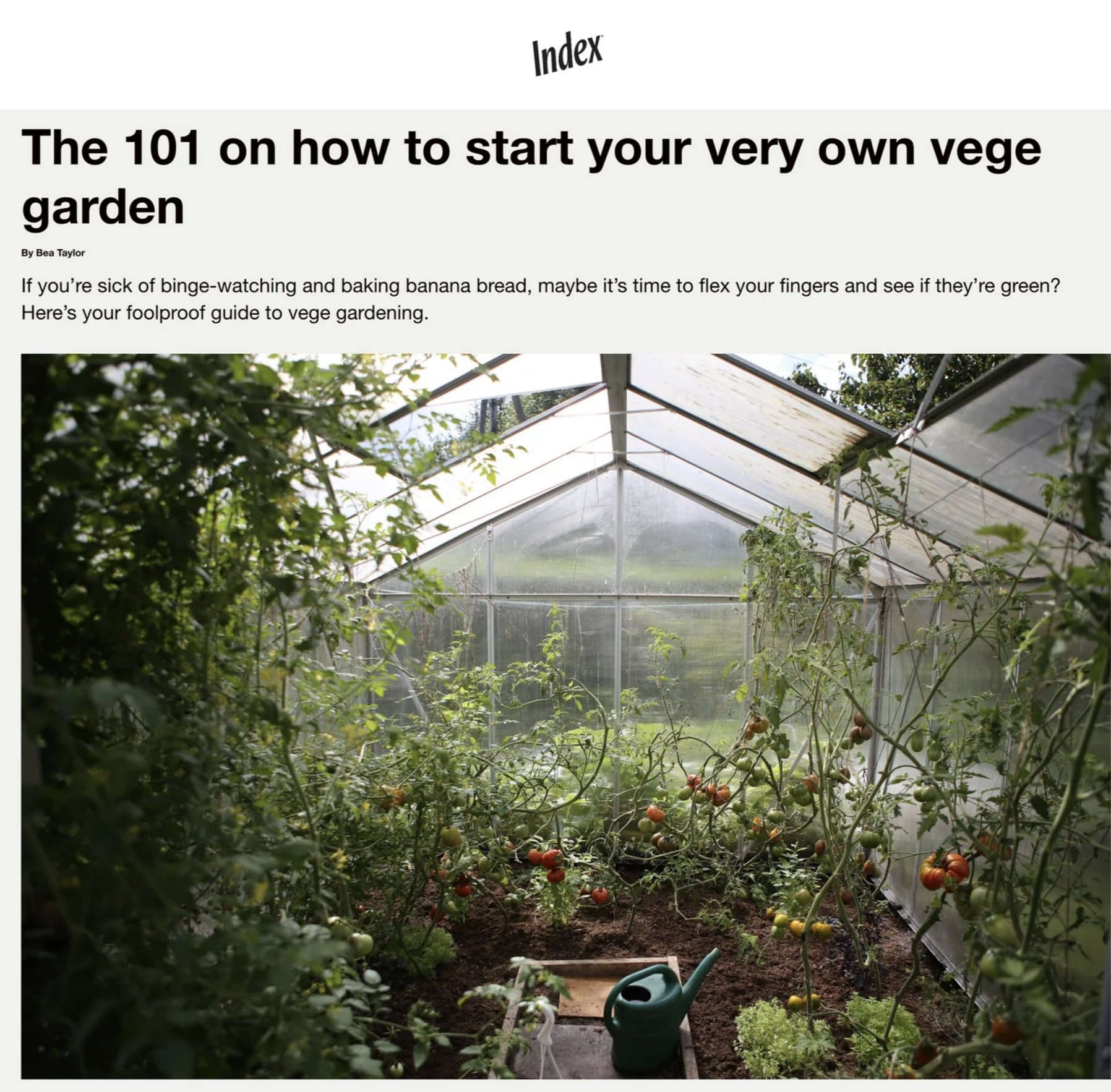 Index Magazine - The 101 on how to start your own Vege garden