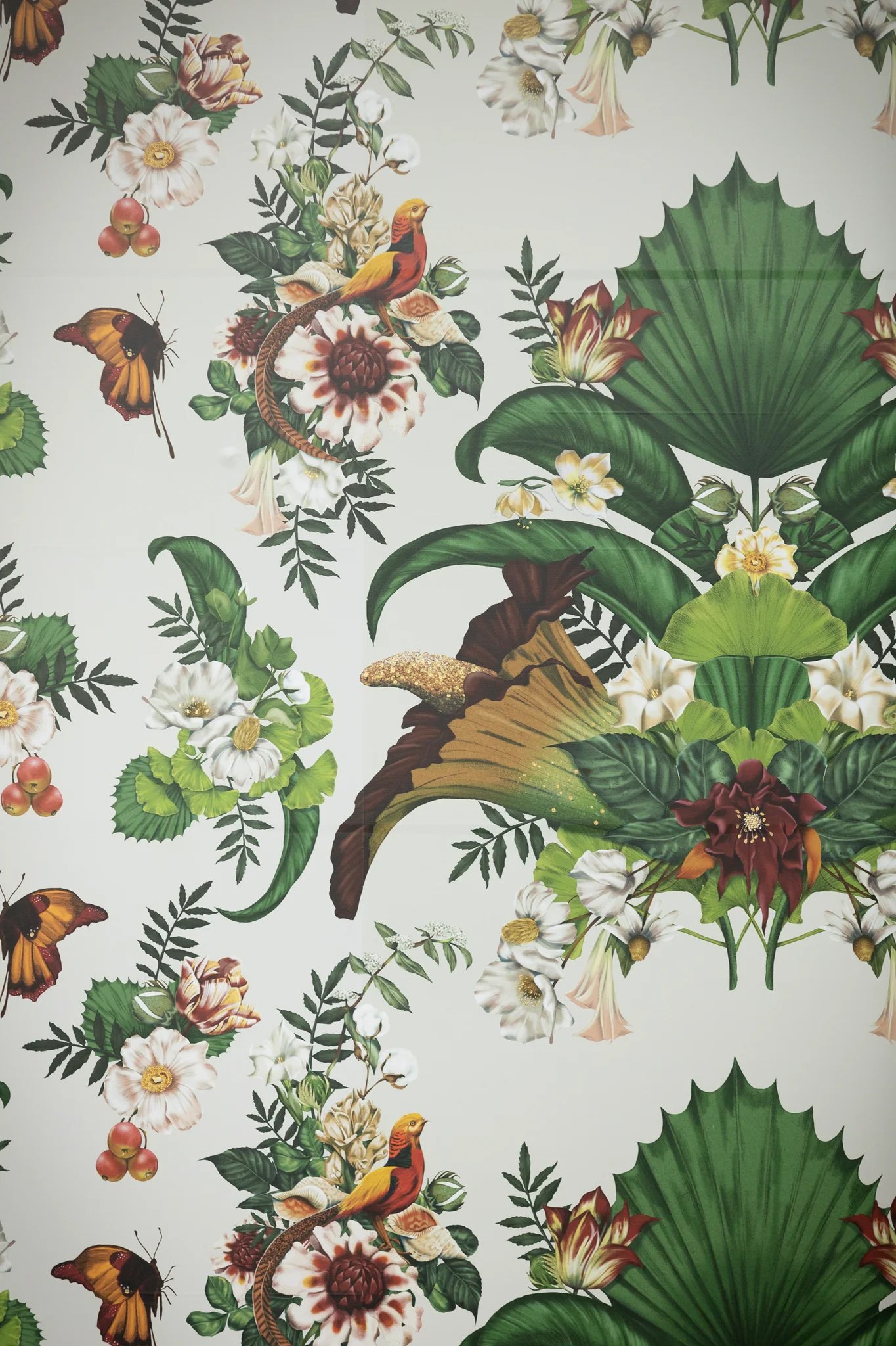 Kelly Thompson botanical Illustrator for Melbourne Museum Titanic exhibition
