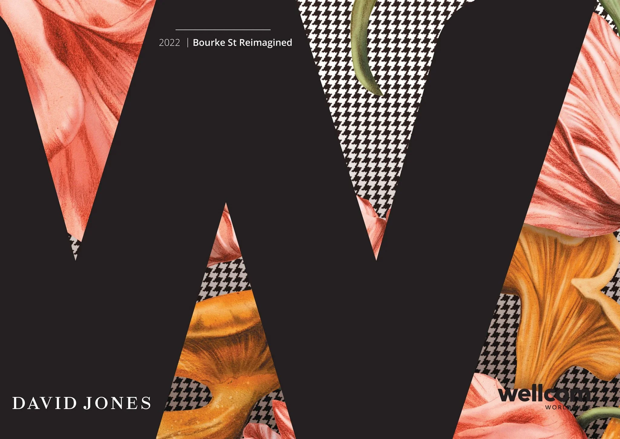 Illustrations by Kelly Thompson for David Jones Store Melbourne
