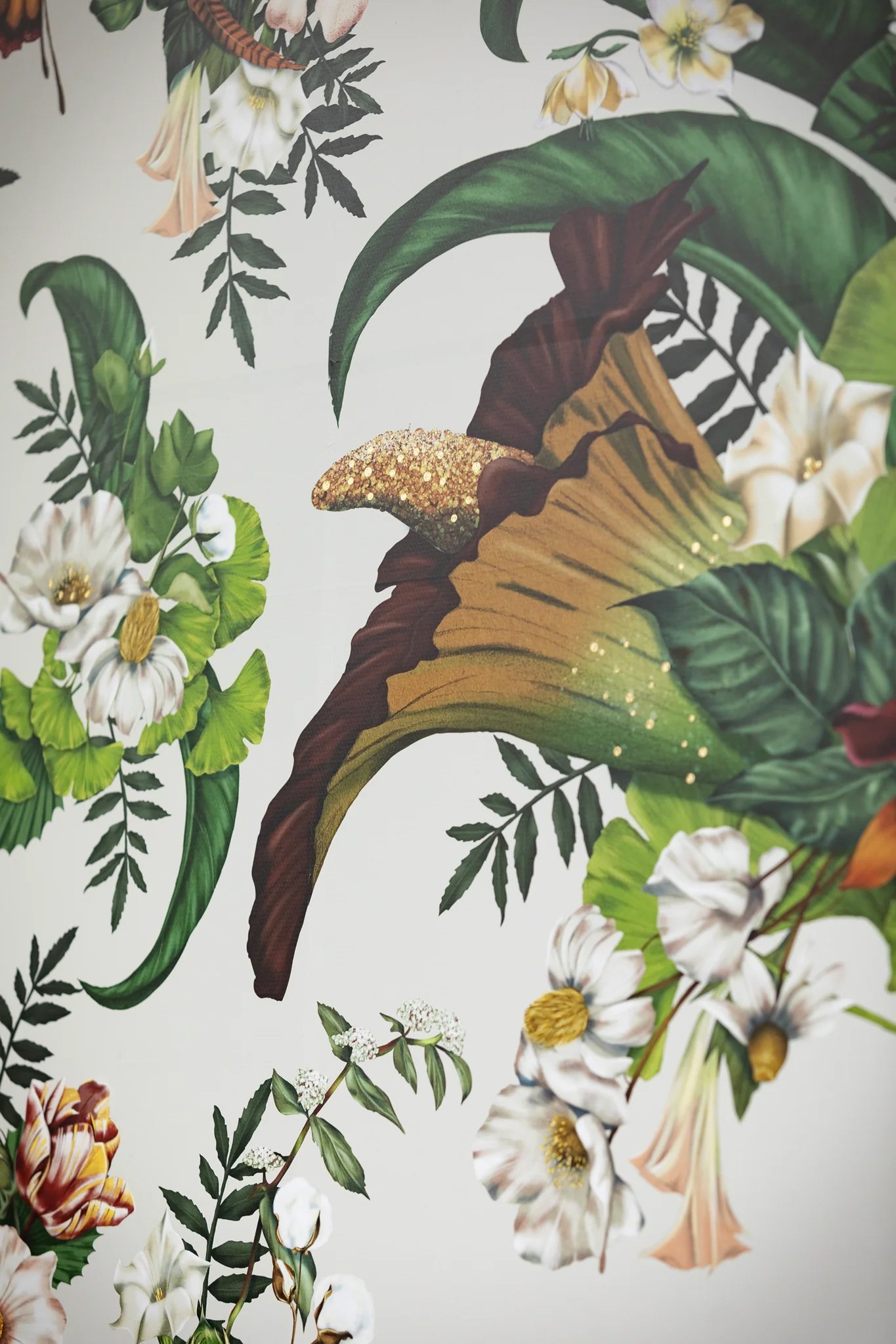 Kelly Thompson botanical Illustrator for Melbourne Museum Titanic exhibition