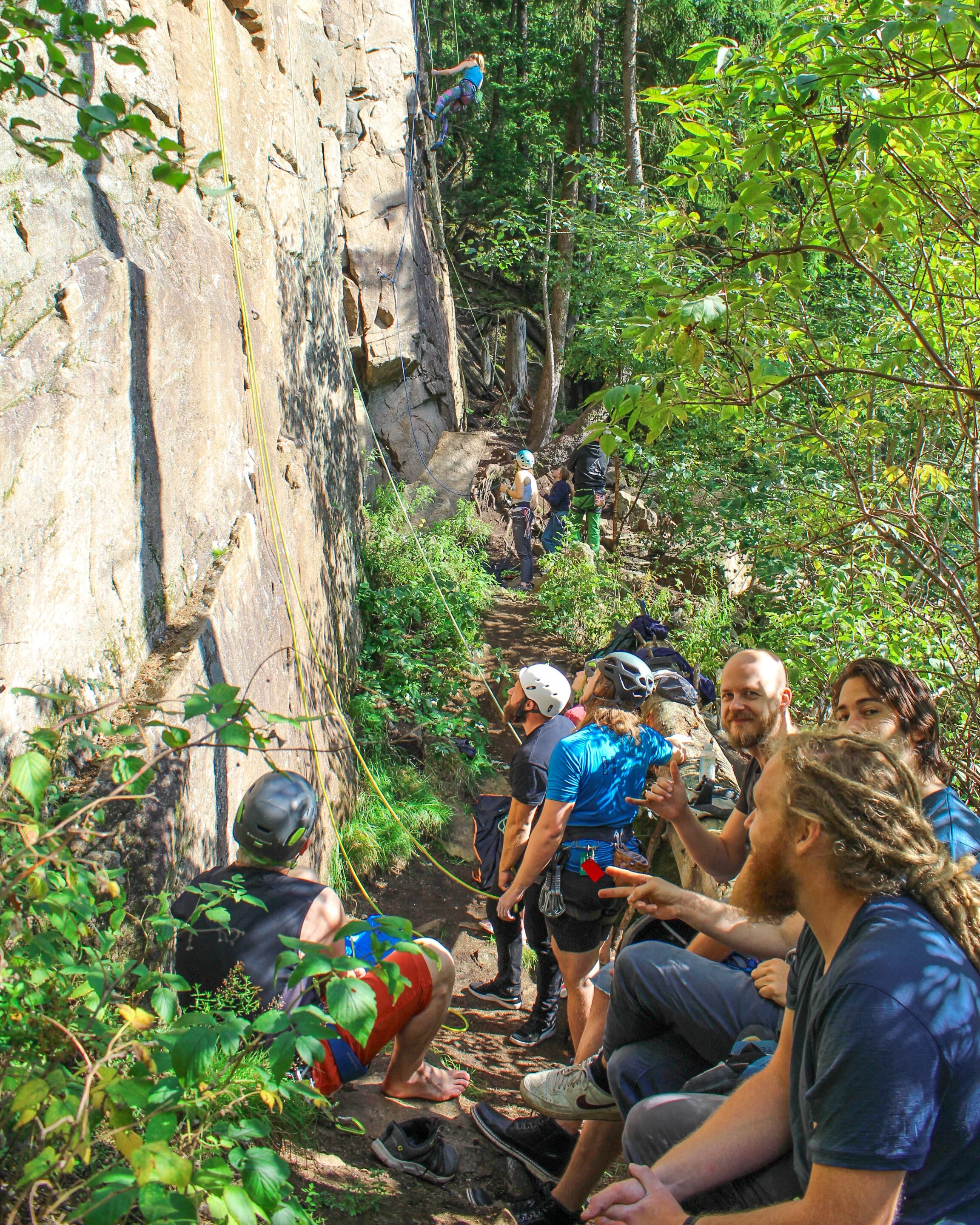 Medlemsundersøgelse 2026