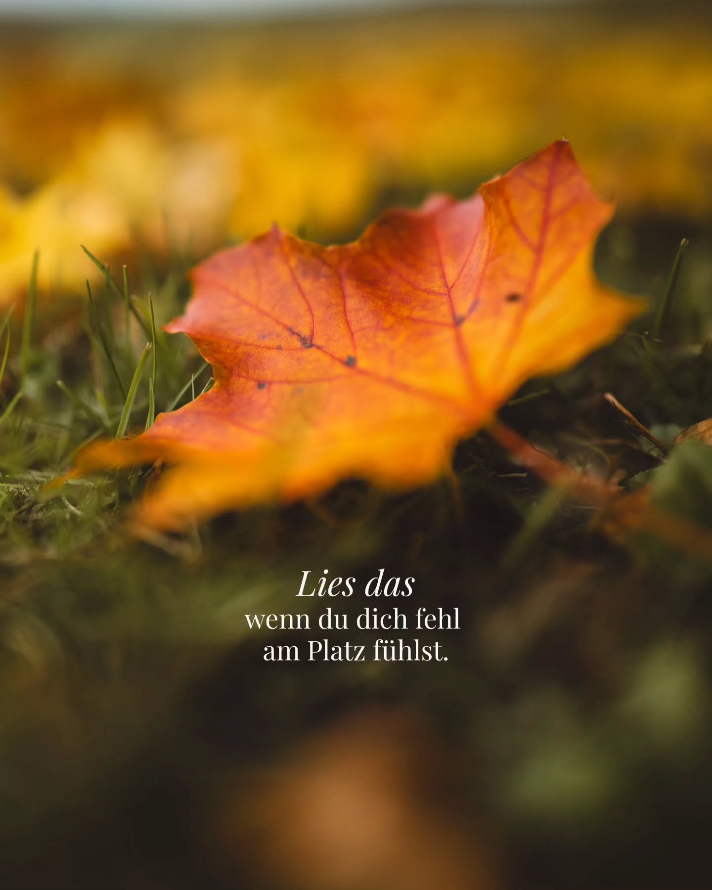 ❤️&zwj;🩹

Ich setze mich daf&uuml;r ein, dass sich jeder gesehen f&uuml;hlt - weil ich selbst wei&szlig;, wie weh es tut, nicht gesehen zu werden. 

Du bist nicht fehl am Platz.
Du bist genau da, wo dein Herz gebraucht wird. 

🫶🏼