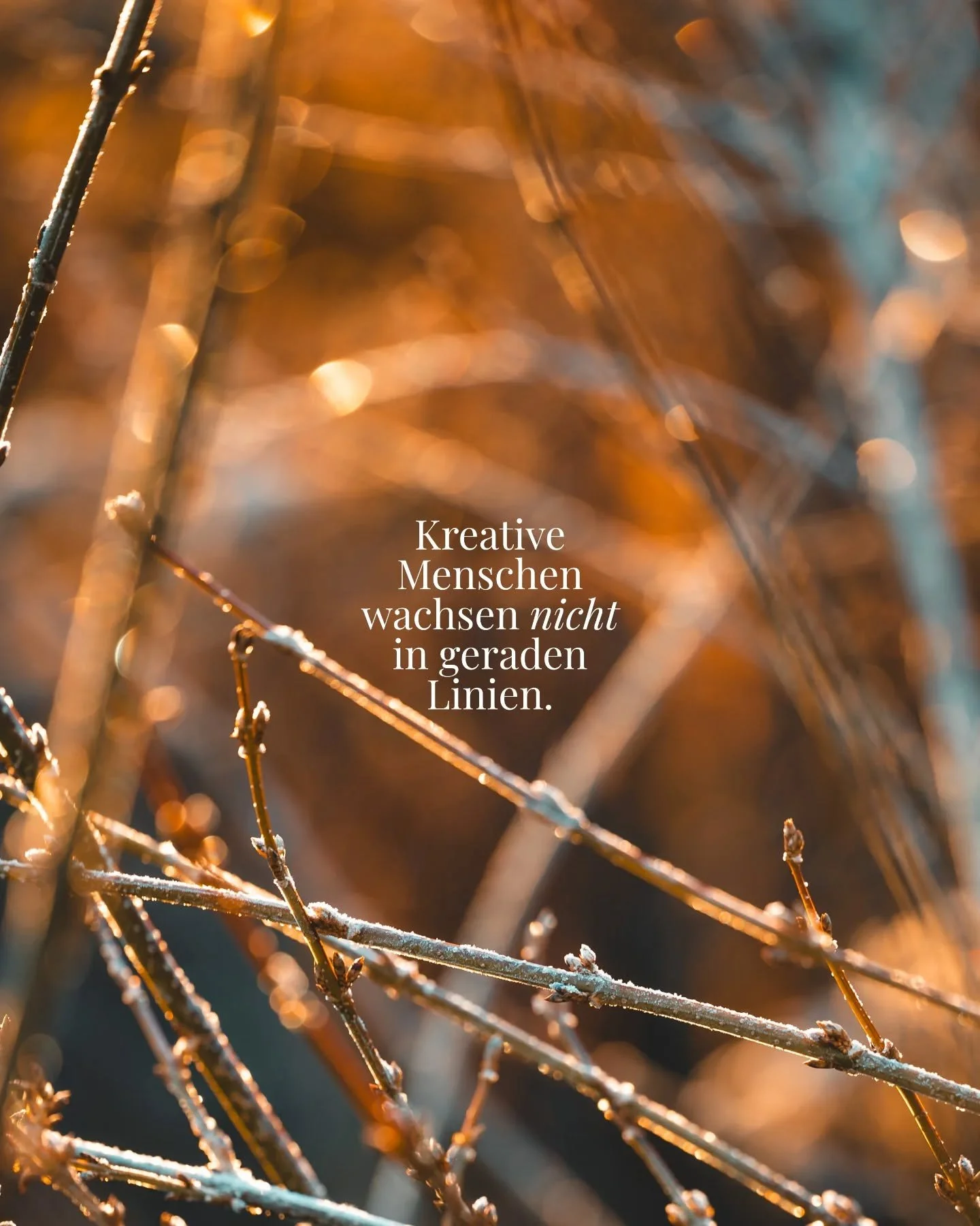 Lange habe ich gedacht, dass Stillstand Scheitern bedeutet, doch ganz langsam begreife ich, dass dadurch erst alles m&ouml;glich wird.✨

Vielleicht brauchst du genau diese Ruhe, um Neues zu schaffen.

Inspiration 🙏🏻 von @maidenstudio 💛

#personalb