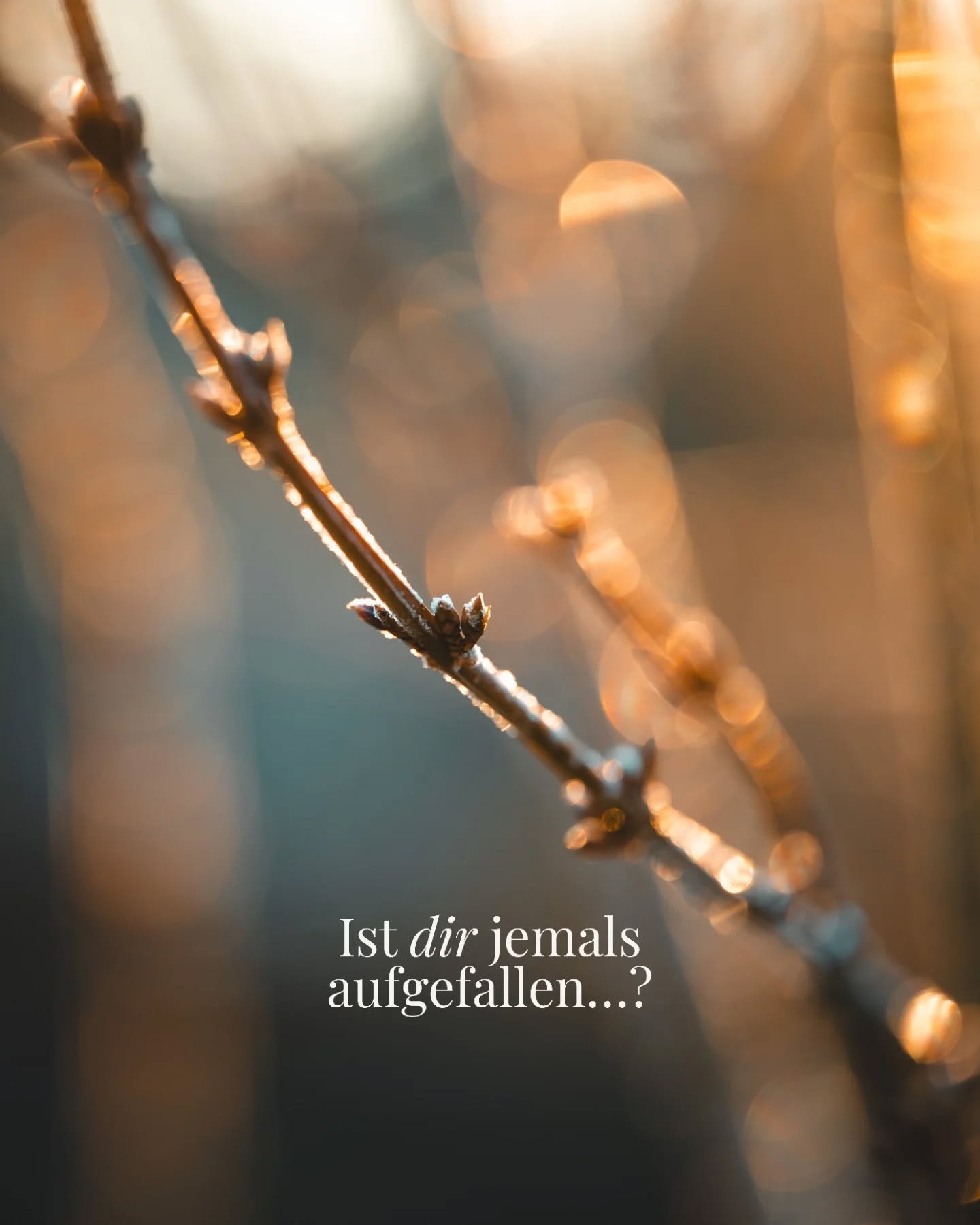 War dir das schon so richtig bewusst? 📷✨

Fotografie ist eben doch viel mehr als 'einfach abdr&uuml;cken' desto l&auml;nger ich es mache umso mehr verstehe ich es 💛

Eine Wundervollen Erinnerung an dich, an deinen Stil, deine Art des Einfangens💛 b