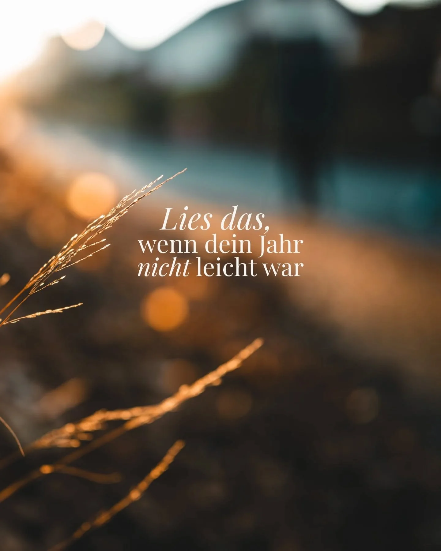 Ich hasse dich nicht, 2025 - du wirst in Erinnerung bleiben als das Jahr was am meisten Ver&auml;nderung mit sich brachte. 

Ich wei&szlig;, dass es vielen von euch &auml;hnlich ging ❤️&zwj;🩹
Wir haben es geschafft! 

Mit all diesen neuen Erkenntnis