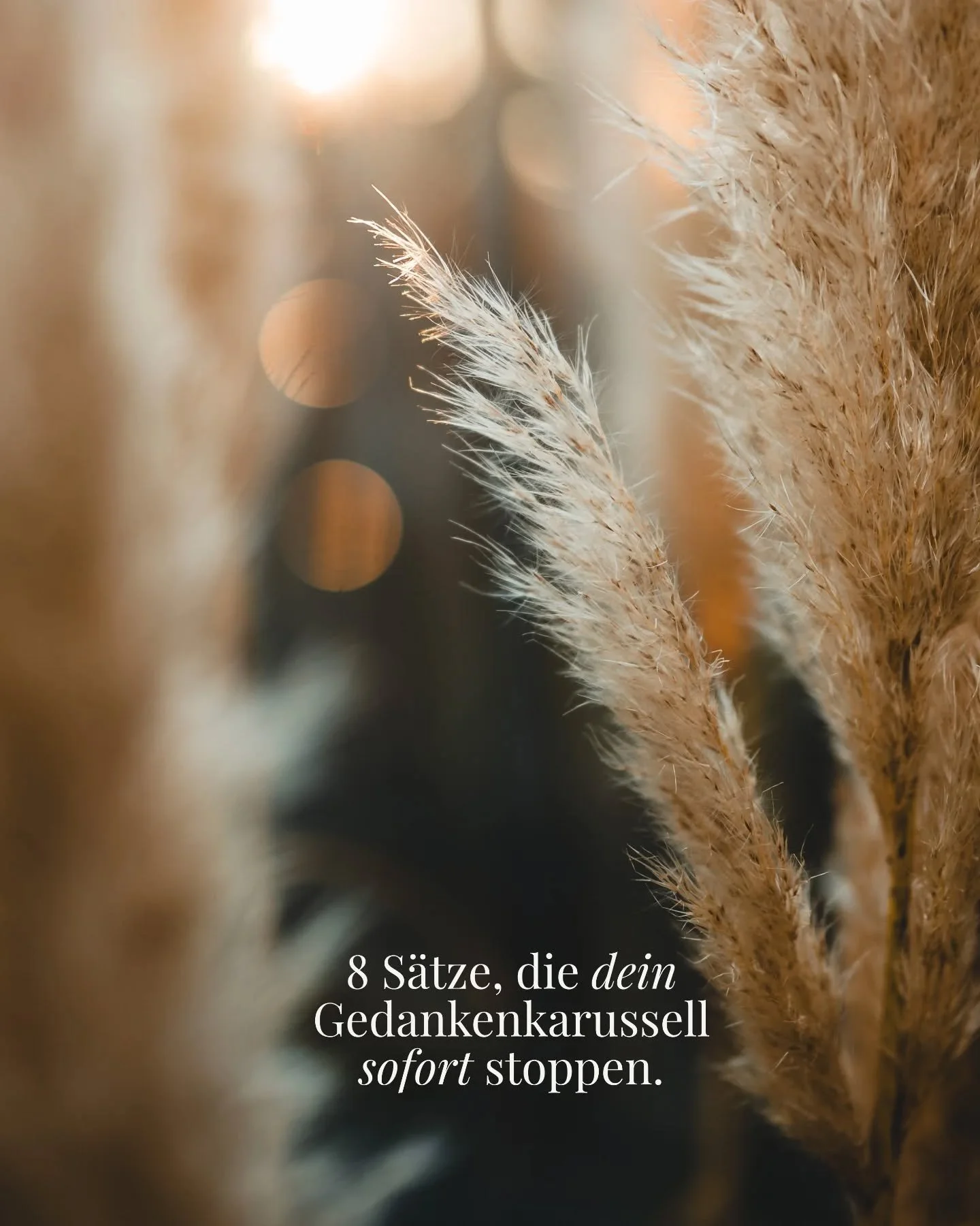 Das sind mit die sch&ouml;nsten S&auml;tze f&uuml;r ein wenig mehr Ruhe im Kopf💆🏻&zwj;♀️

Die nehme ich gerne mit ins n&auml;chste Jahr💛
Vielleicht auch was f&uuml;r dich!

Inspiration @wethinkdeeply 💛