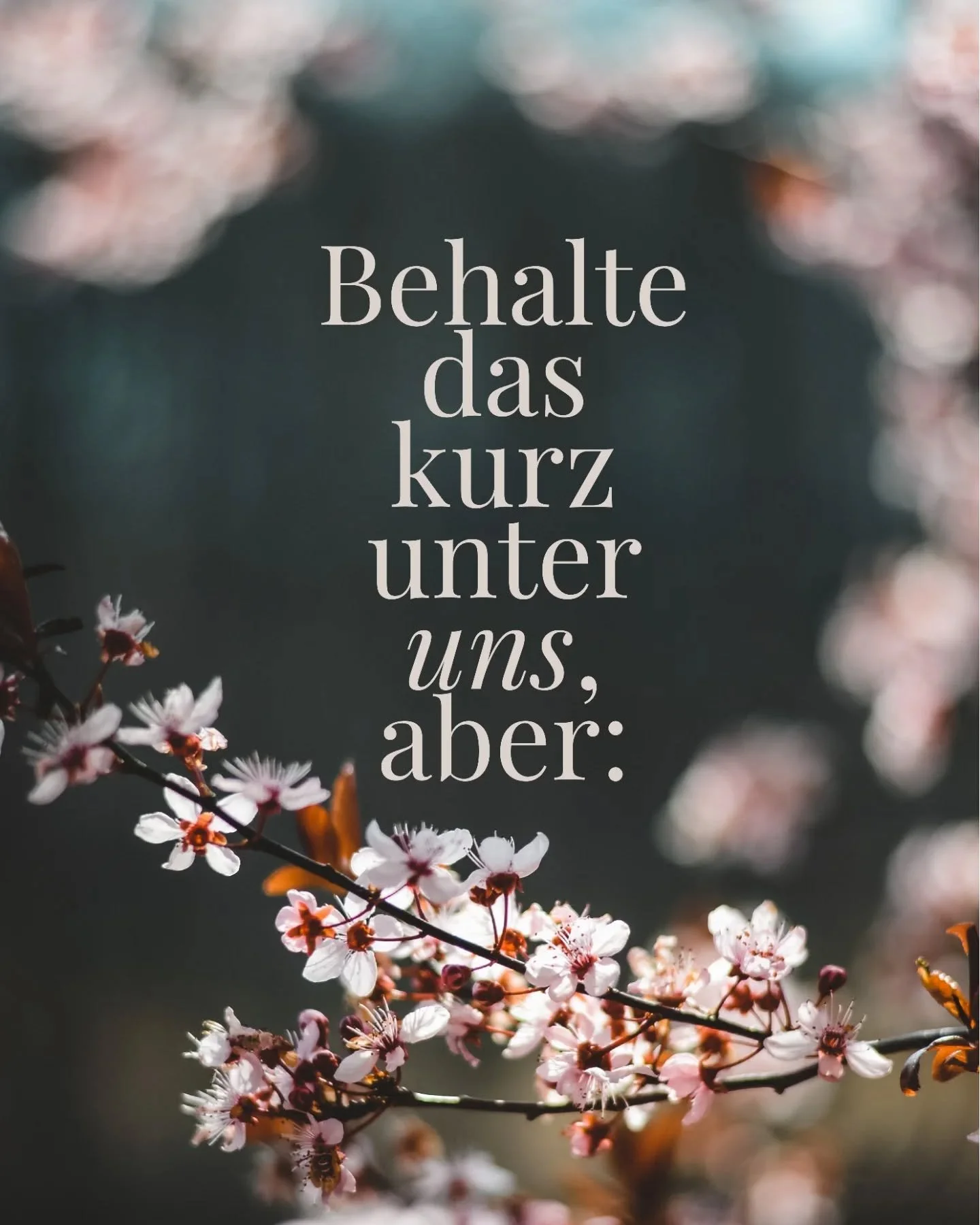 Nenn es nicht einen Traum... Nenn es einen Plan 🌸

Und Fang am besten heute noch an! Einen Schritt nach dem anderen ✨ Hauptsache du f&auml;ngst an!

#personalbrandingfotografie #selbstst&auml;ndigkeit #personalbranding #sichtbarkeit #sichtbarwerden