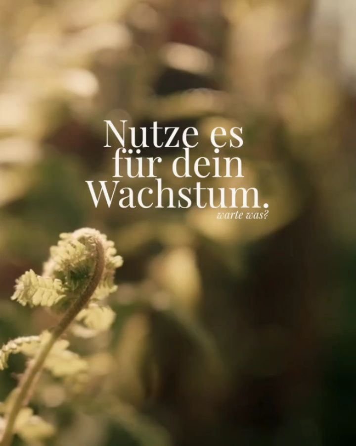 🌱🌿☘️🐢💚

Mein Garten, meine Schildkr&ouml;te und meine Kamera = gl&uuml;ckliche Paula ✨

Gef&auml;llt euch das neue Format?