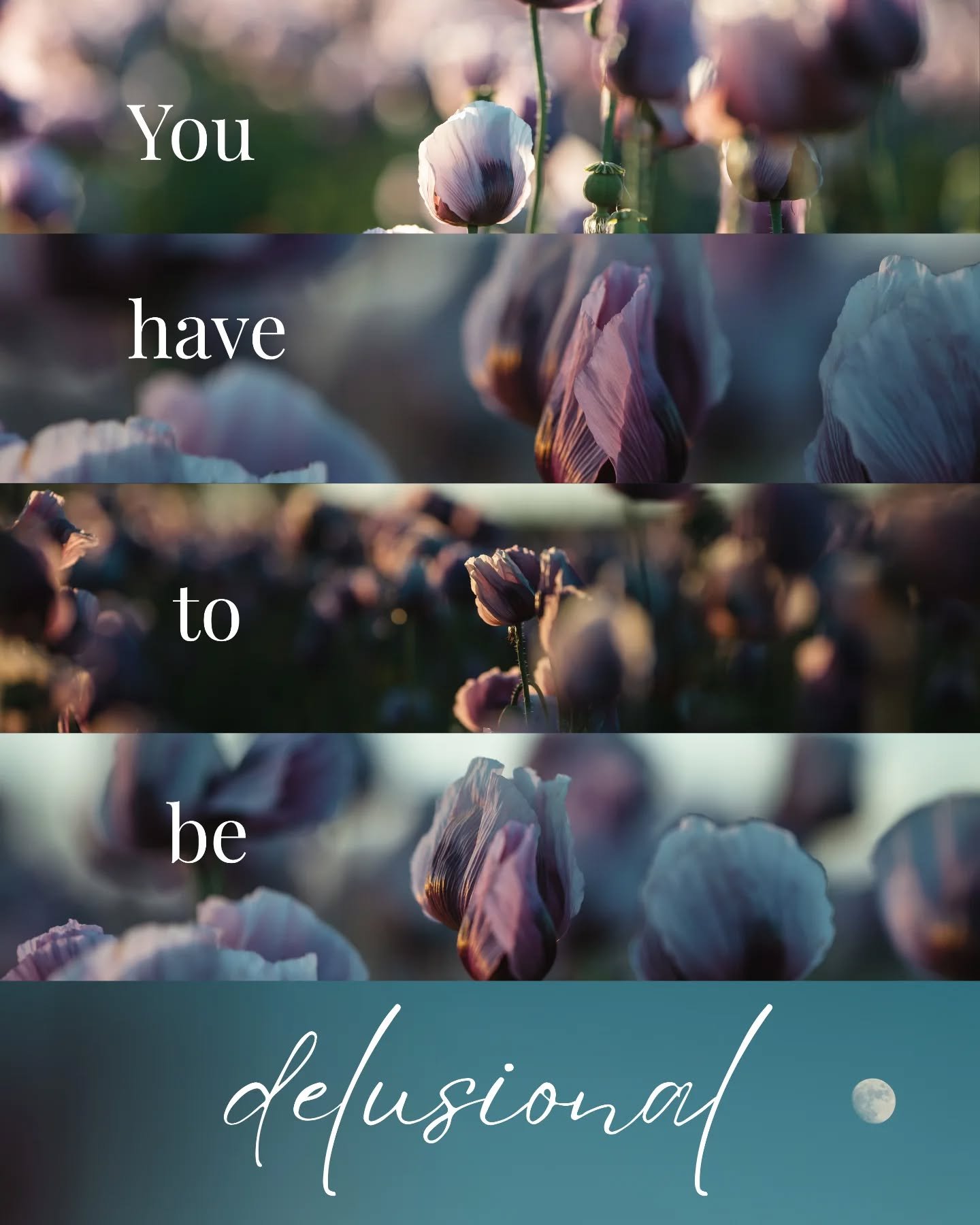 Kleine Montags Motivation 🌸

Bleib dran, h&ouml;r nicht auf, du bist zur richtigen Zeit am richtigen Ort, du verpasst gerade nichts! 

Tr&auml;um gro&szlig; und kreiere dir deine Zukunft! Niemand kann dich davon abhalten 🤍🌸✨

#selbstst&auml;ndigke