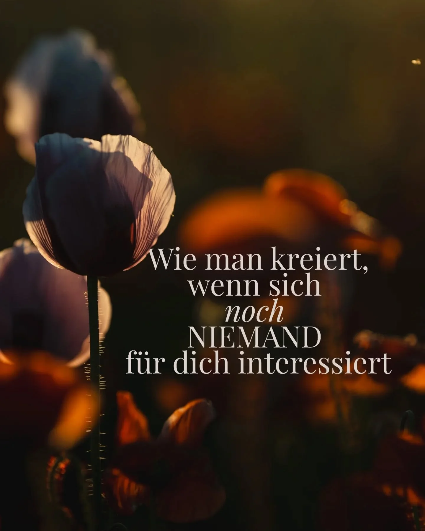 Niemand wartet auf meine Bilder.

Niemand w&uuml;rde bemerken, wenn ich heute die Kamera zu Hause lasse. Niemand z&auml;hlt mit, wie oft ich losziehe, wie viele Sonnenaufg&auml;nge ich fotografiere oder wie viele Stunden ich damit verbringe, meinen B