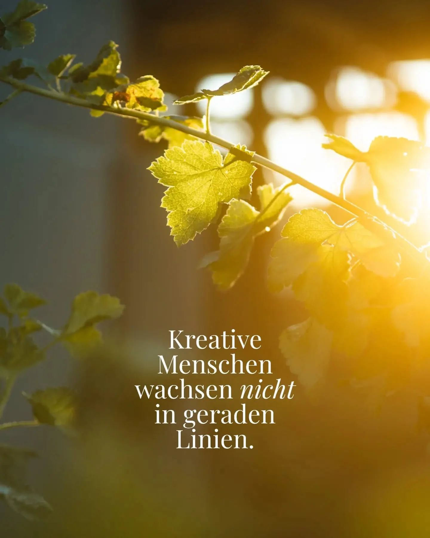 Stillstand oder ruhigere Phasen bedeuten nicht Scheitern. Dadurch entsteht oft genau erst das, was einen ins n&auml;chste Level aufsteigen l&auml;sst 😉☺️🙃✨

Vielleicht braucht es gerade jetzt erstmal diese Ruhe, dass etwas neues kommen kann✨

#pers