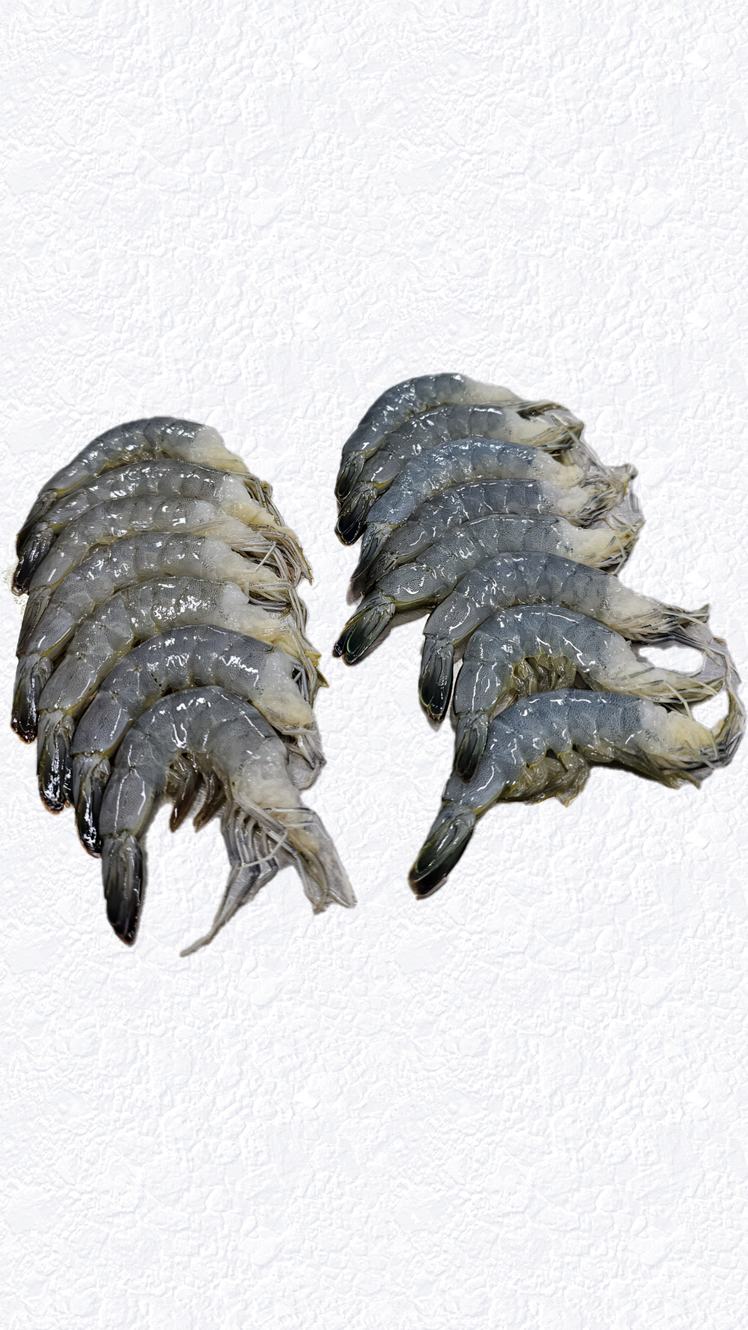 Raw HLSO Head Less Shell On Vannamei Shrimp A2 A3 Shell Color, Vannameo Shrimp Vietnam, Vannamei Shrimp Exporter Khoi Viet Seafood