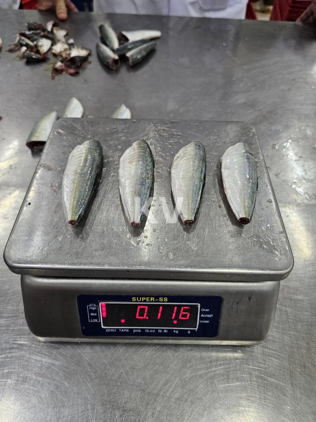 Round Scad HGT