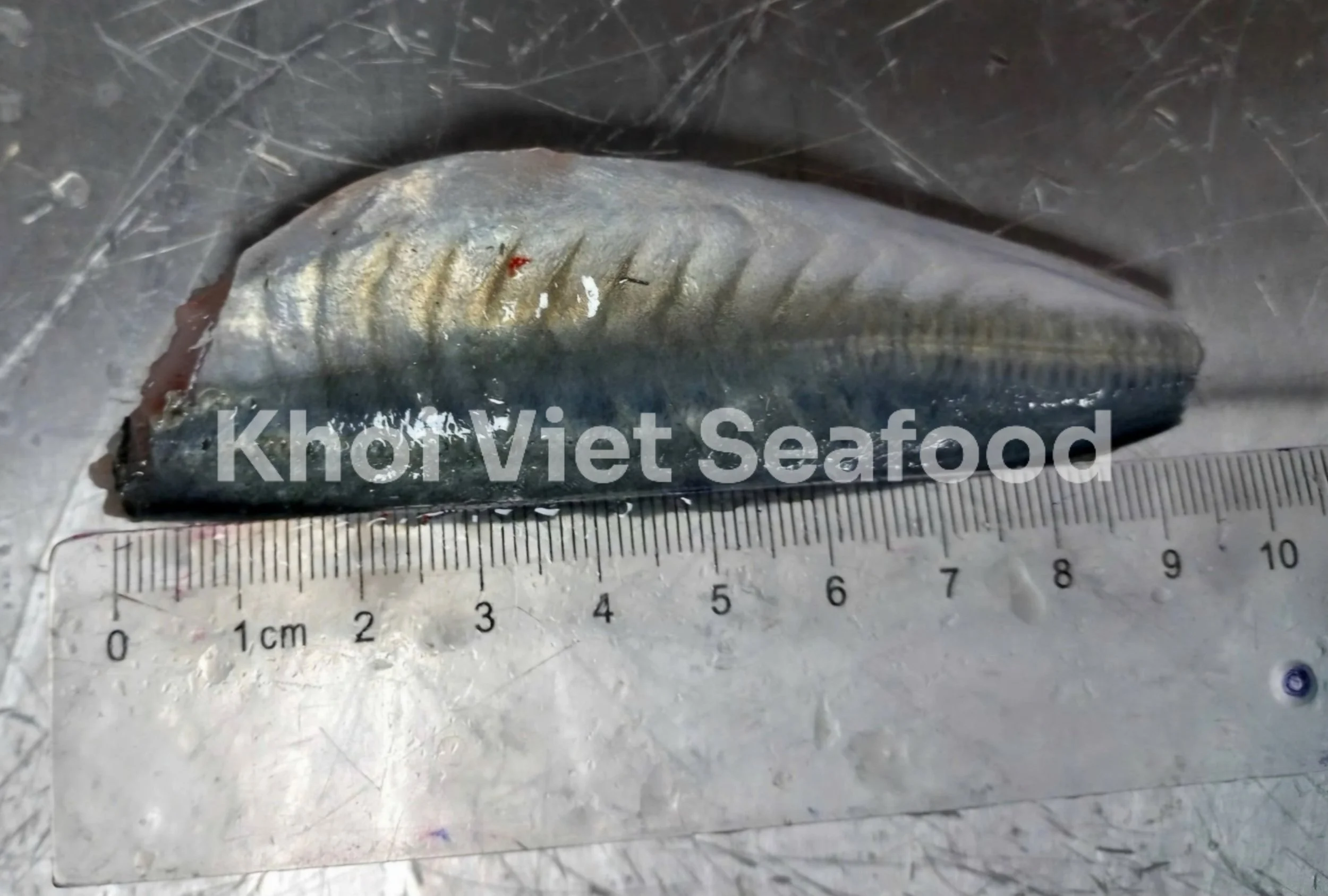 Round Scad HGT