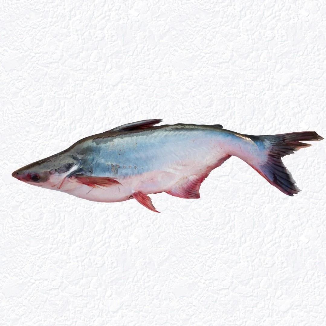 Dory Fish Fillet