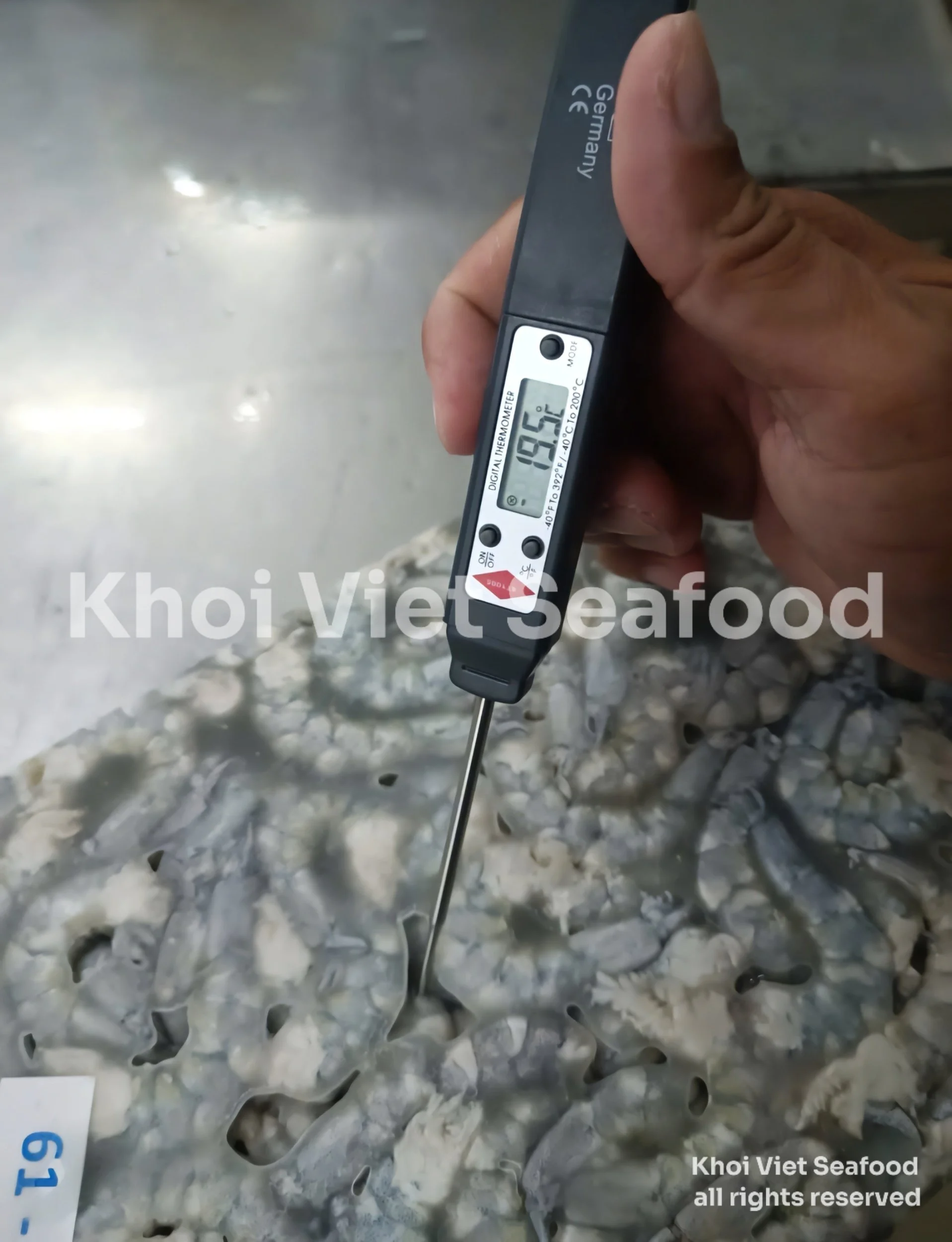 How to check temperature in frozen shrimp