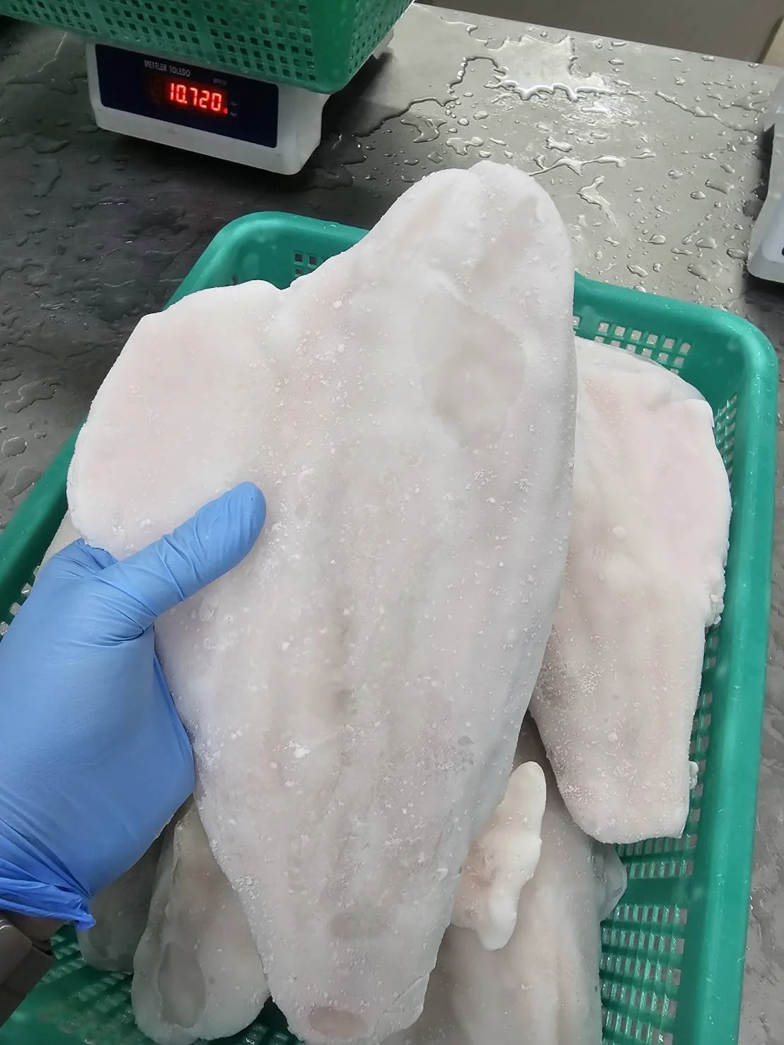 Barramundi Fillet Post Frozen.jpg