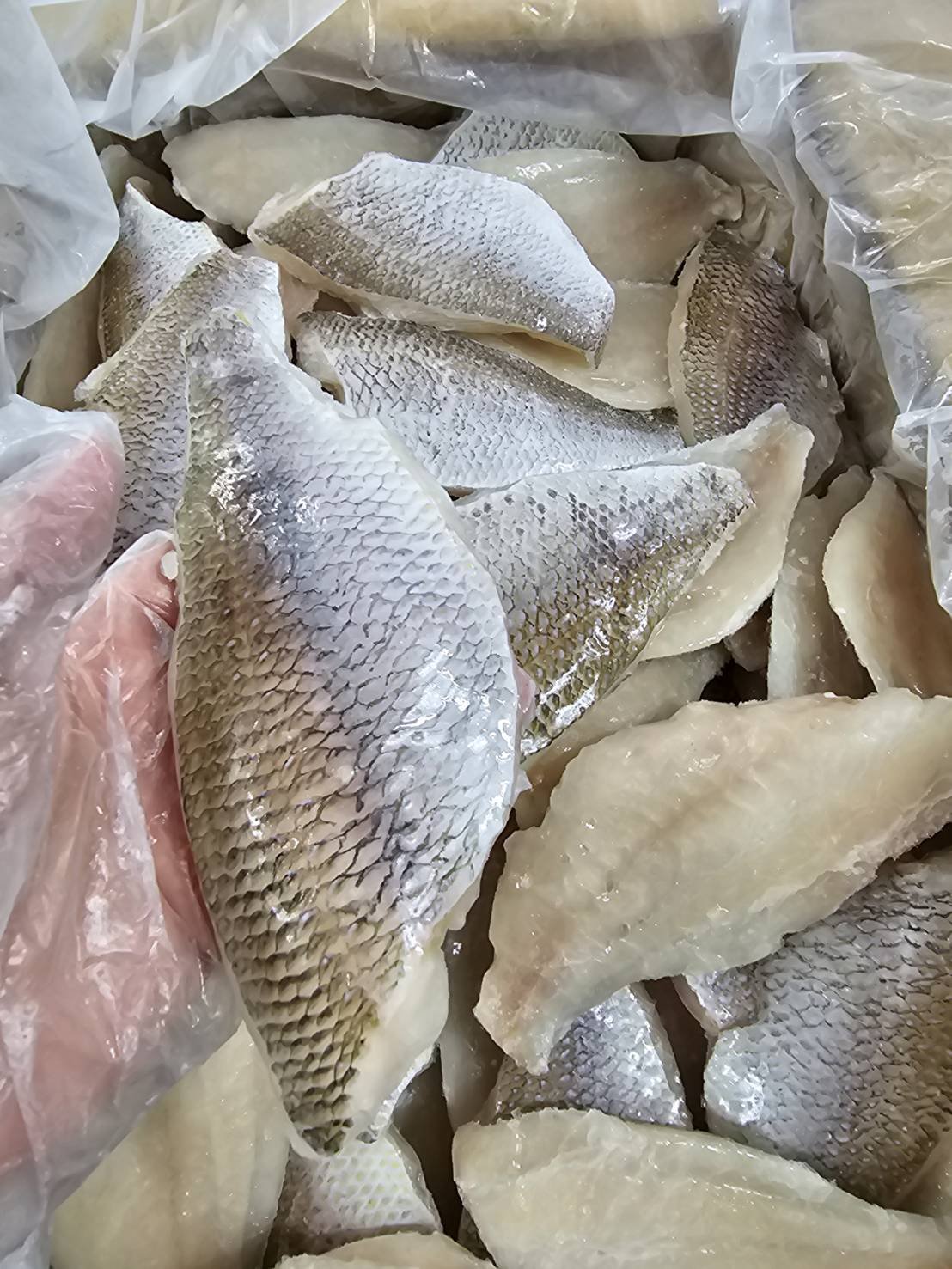 Emperor-Fish-Fillet-Vietnam-Khoi-Viet-Seafood-KVSeafood.jpg