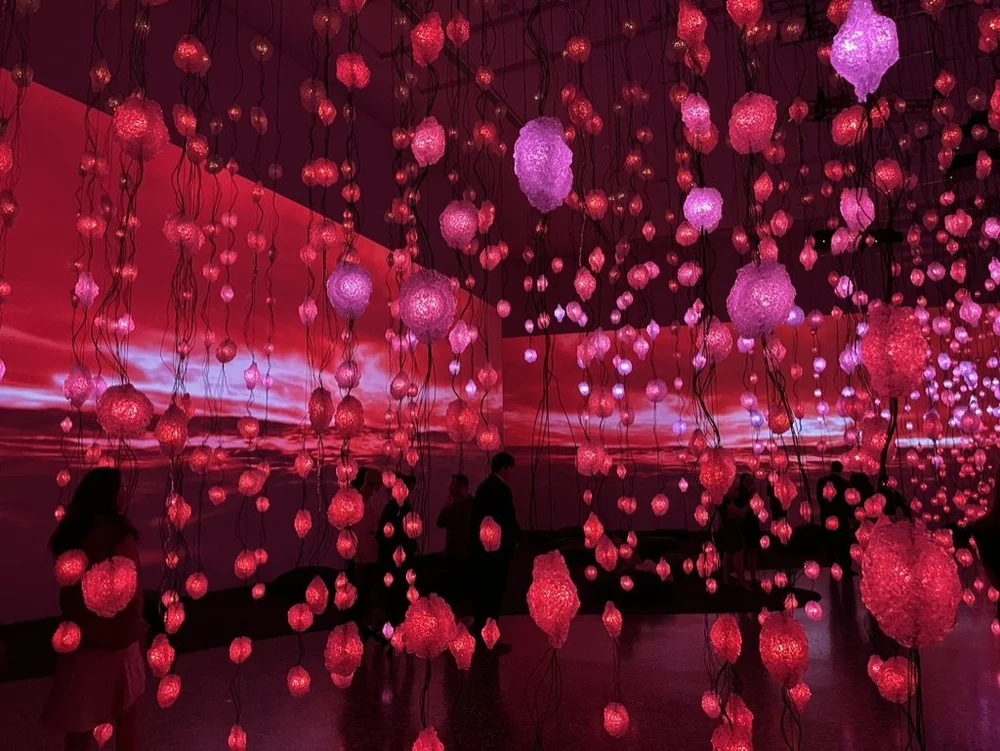 Pipilotti Rist Sneak Preview