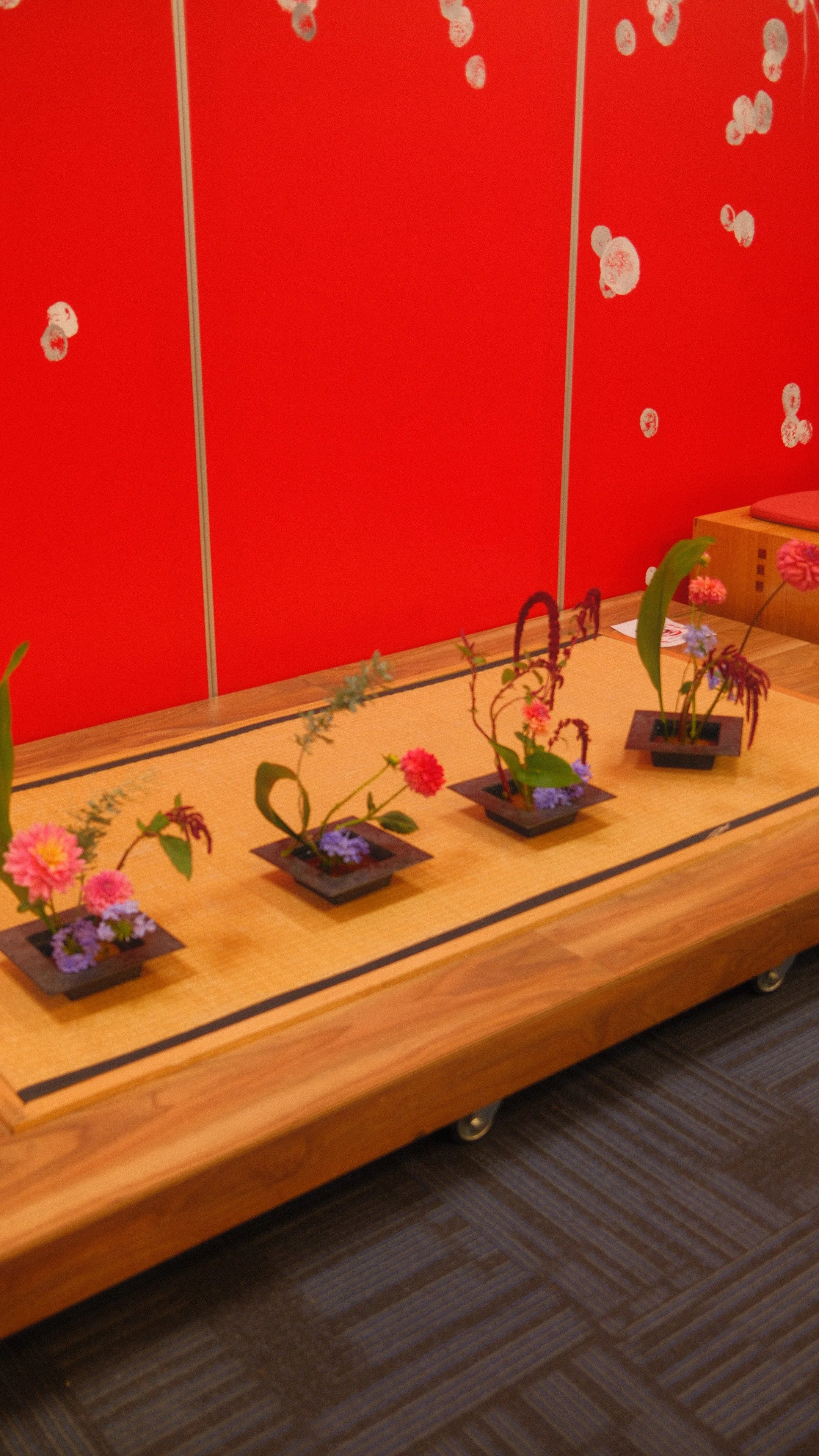 Workshop for biginner