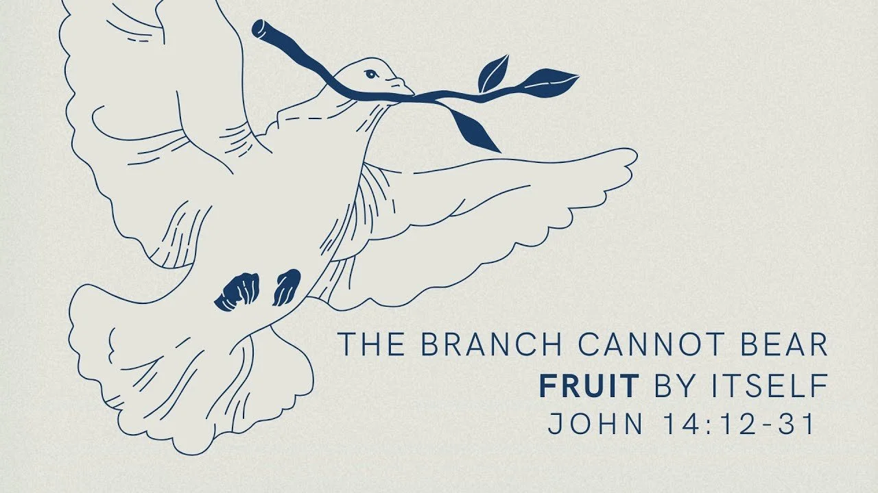 The Branch Cannot Bear Fruit By Itself | The Gospel of John 15: 1-11