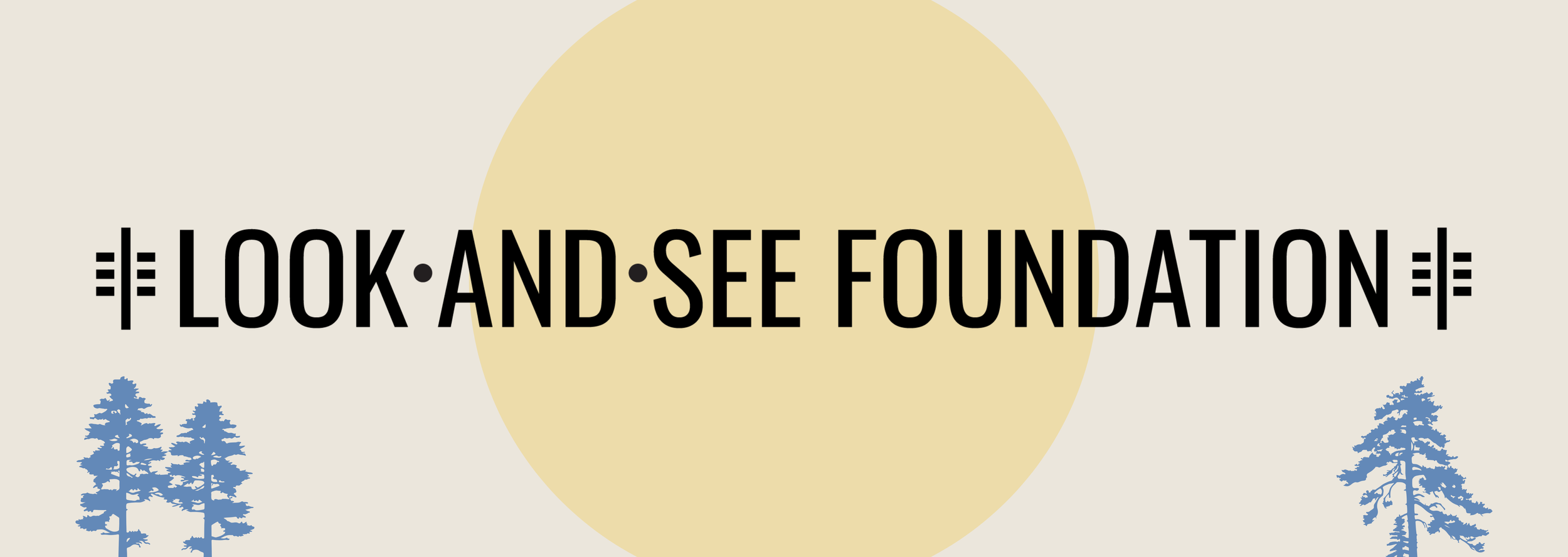 Look And See Foundation