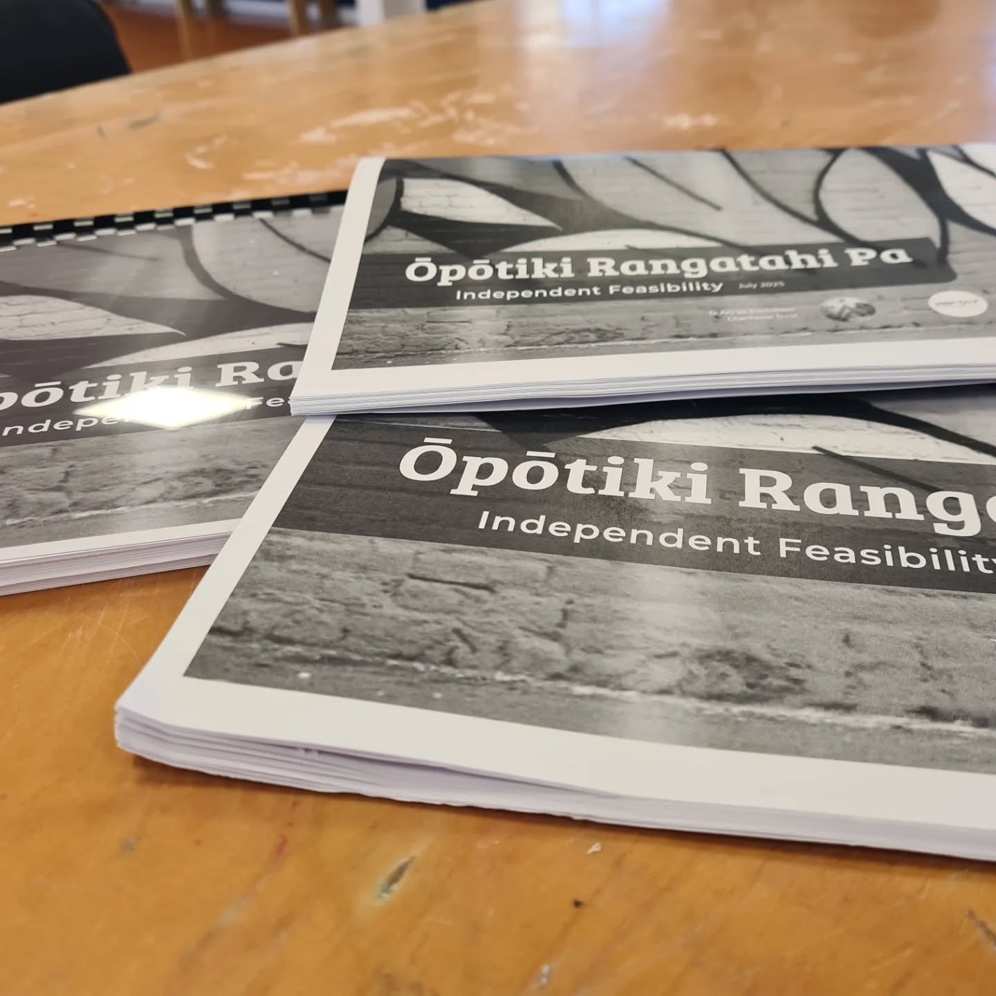 The last few weeks we've been testing out different printers and prices to print out epic feasibility study 

💜 We think we've found a winner! @printonlinenz were super fast, easy to use and really affordable for what we needed. Thank you!

#notpaid