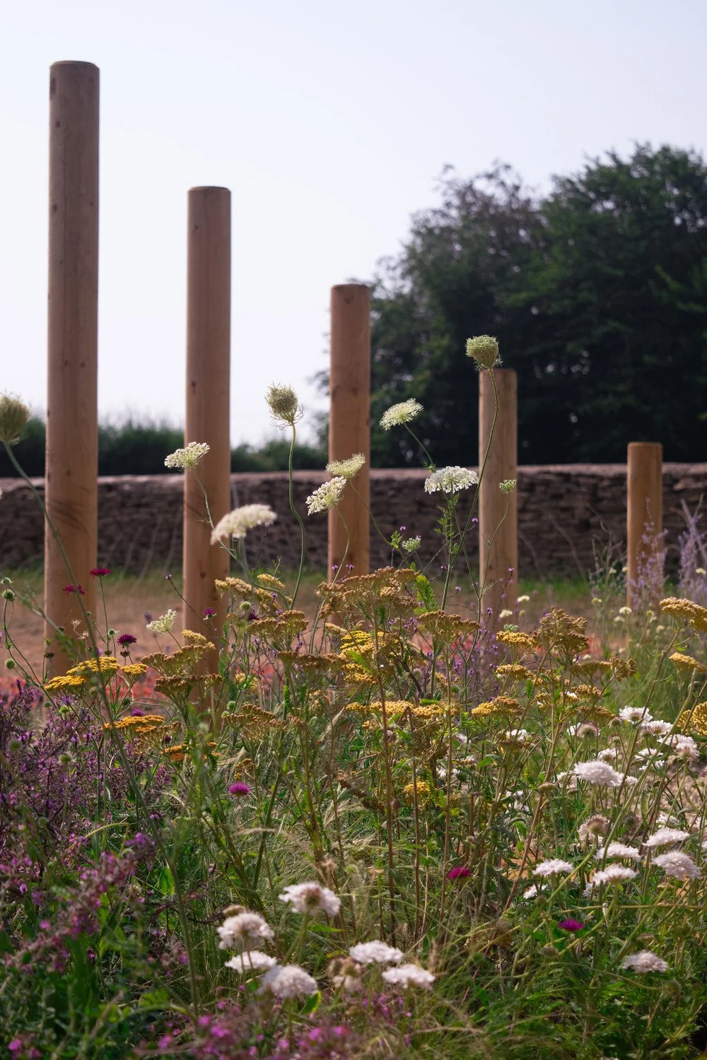 Wildflower planting — nature‑led garden design by Megan Dodd Studio.