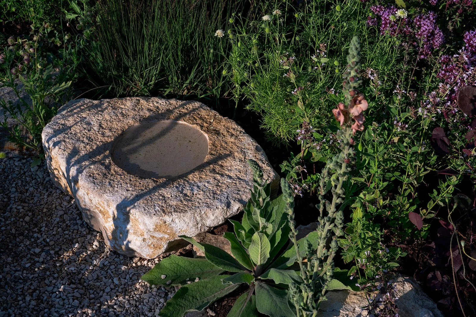 Garden design detail — stone water bowl within painterly planting by Megan Dodd Studio.