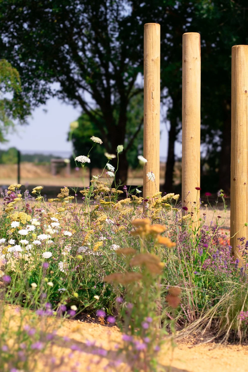Cotswolds wildflower planting — nature‑led design by Megan Dodd Studio.