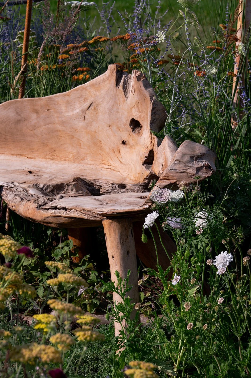Garden craftsmanship — sculptural wooden seat within painterly planting by Megan Dodd Studio.