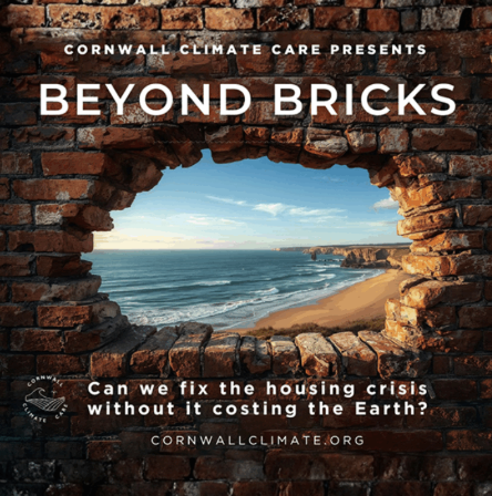 Beyond Bricks + Panel Q&A