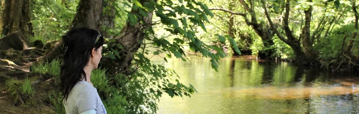 Workshop: Wellbeing Mindfulness For Busy Minds