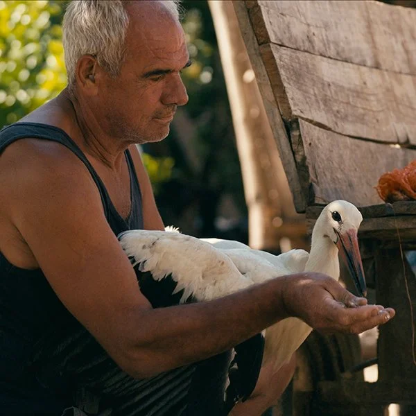 The Tale of Silyan (12A)